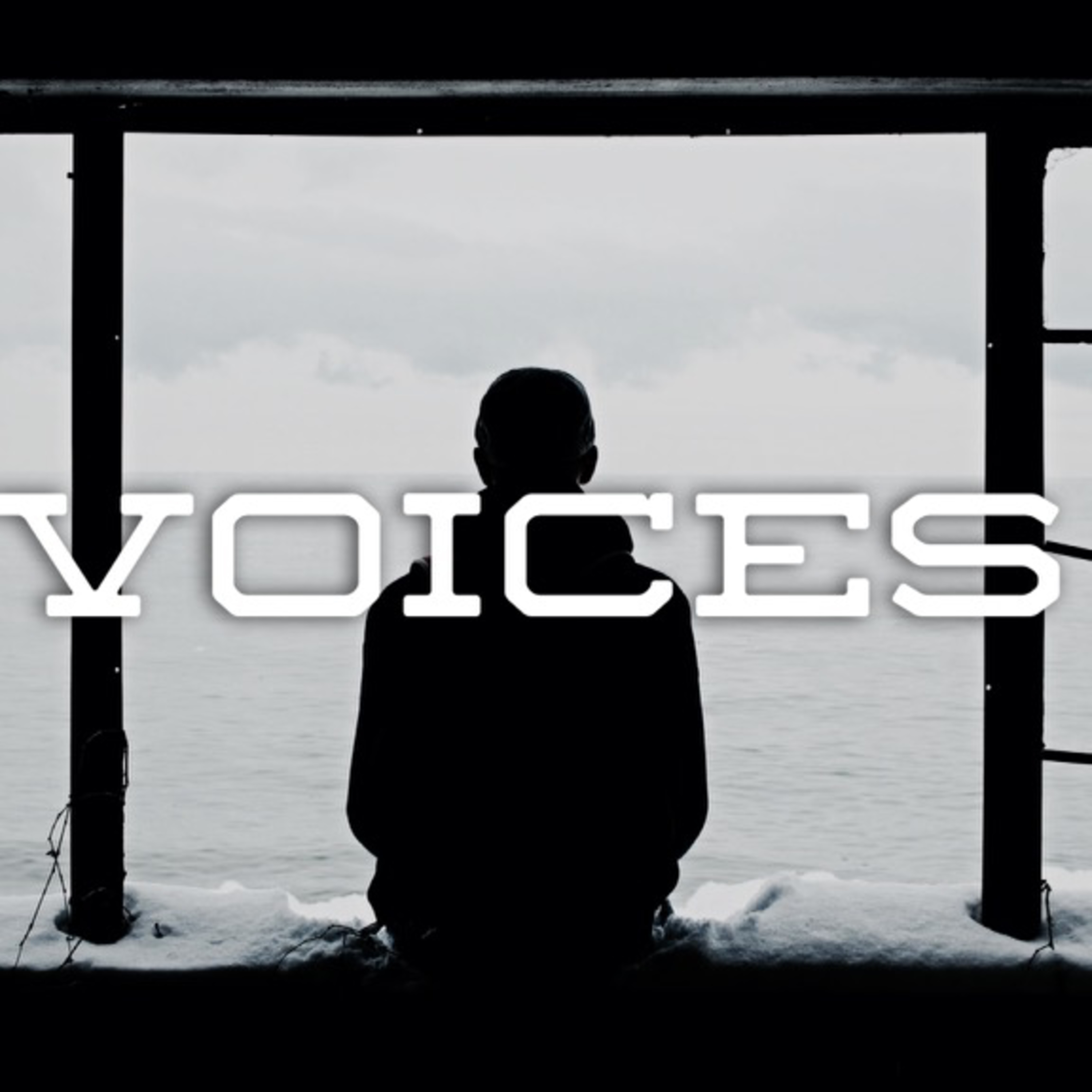 "Voices": Navigating The Noise To Find Christ episode artwork