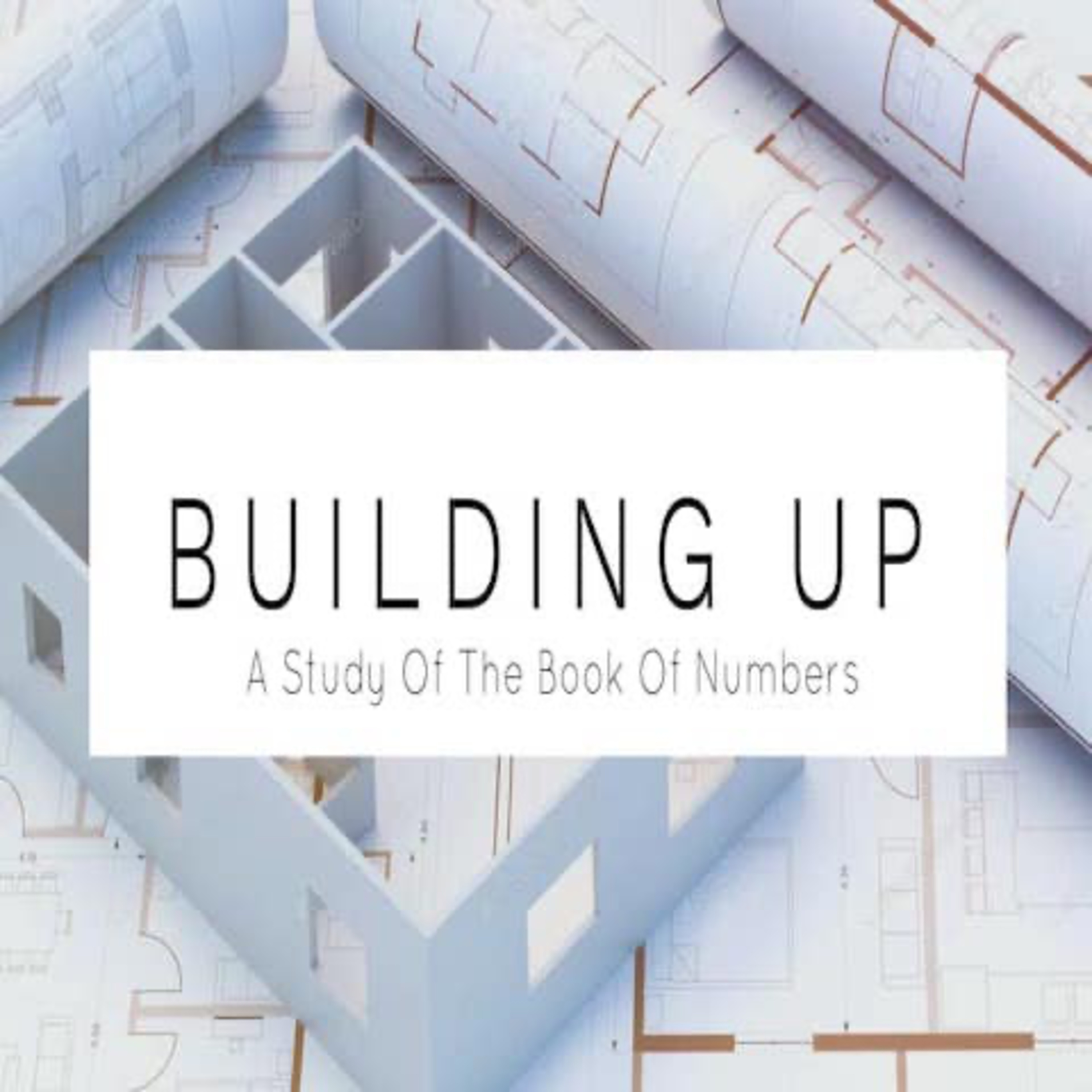 "Building Up": A Study Of The Book Of Numbers (Numbers 29)  episode artwork