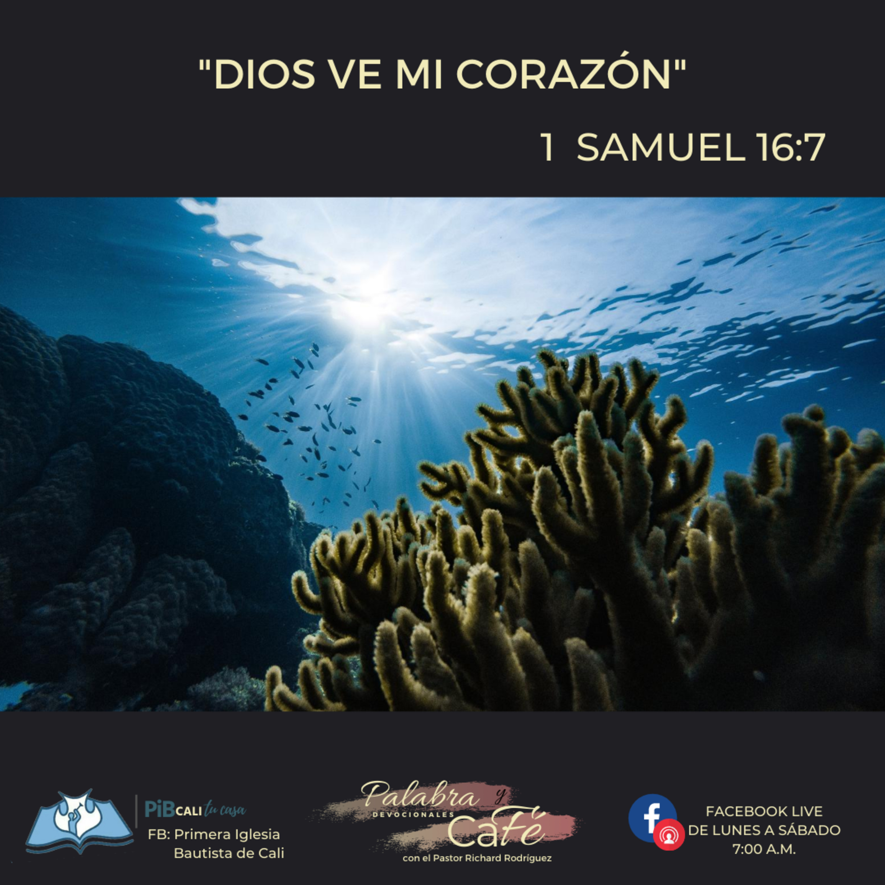 Portada de PALABRA Y CAFÉ por RDoce Podcast