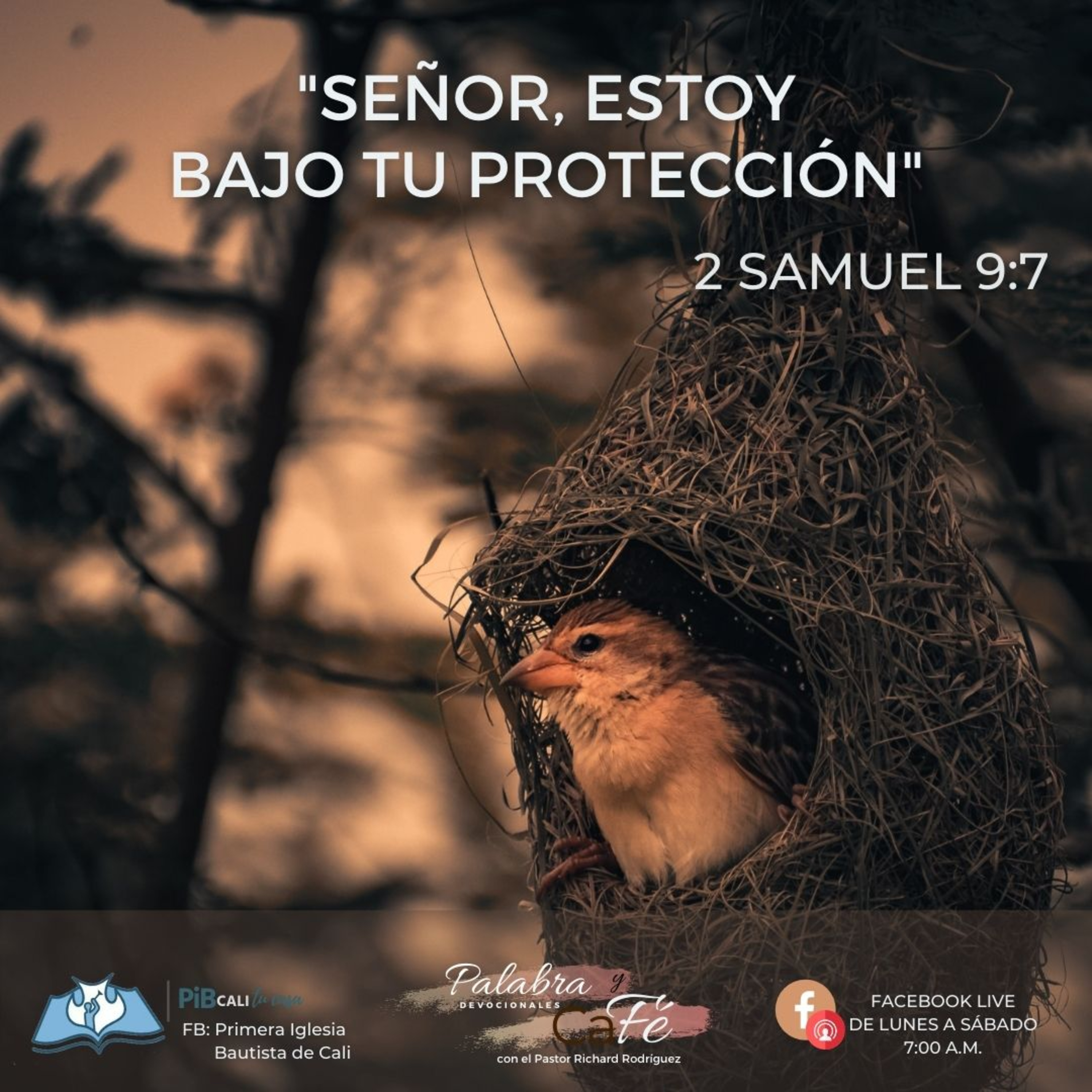 Portada de PALABRA Y CAFÉ por RDoce Podcast