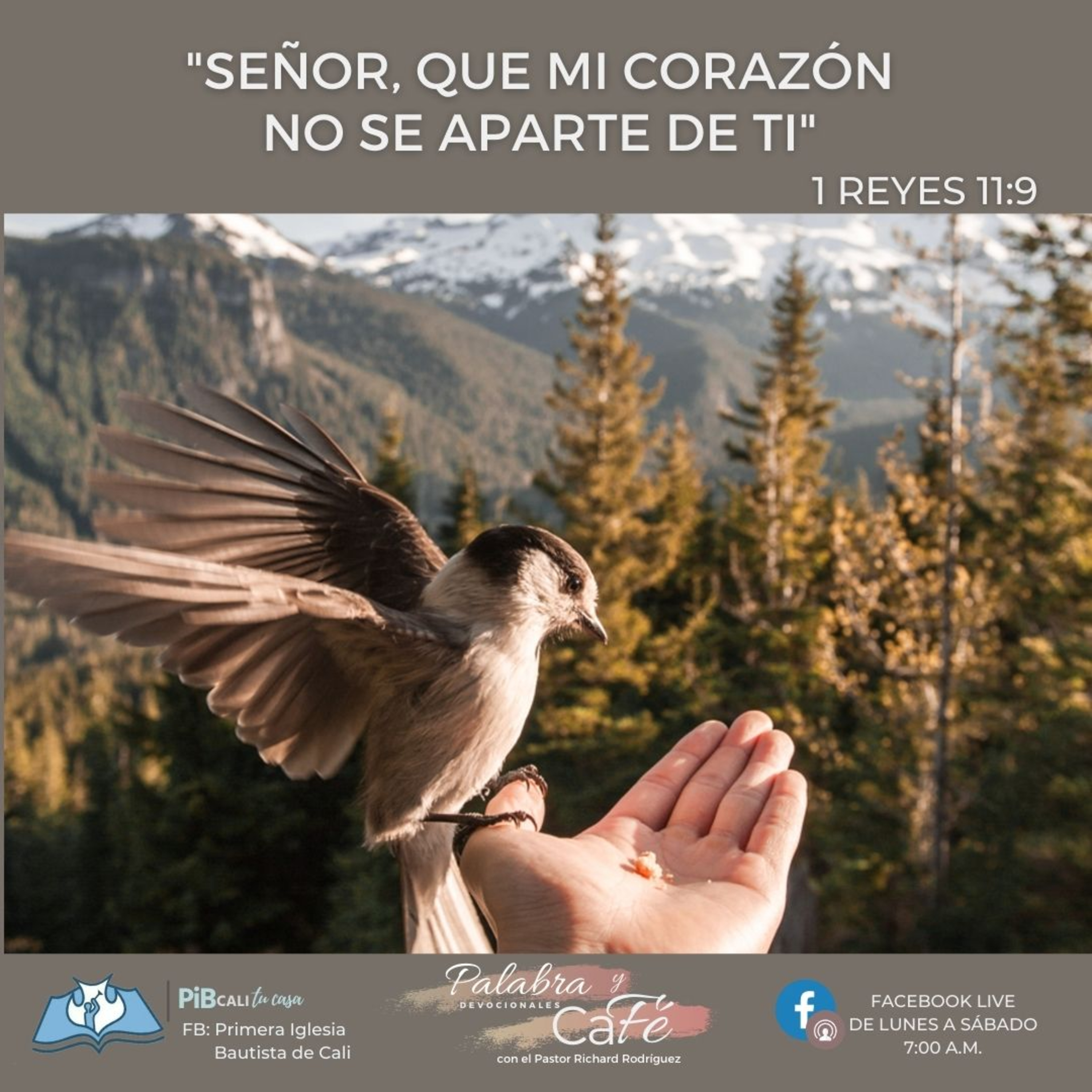 Señor, que mi corazón no se aparte de Ti episode artwork