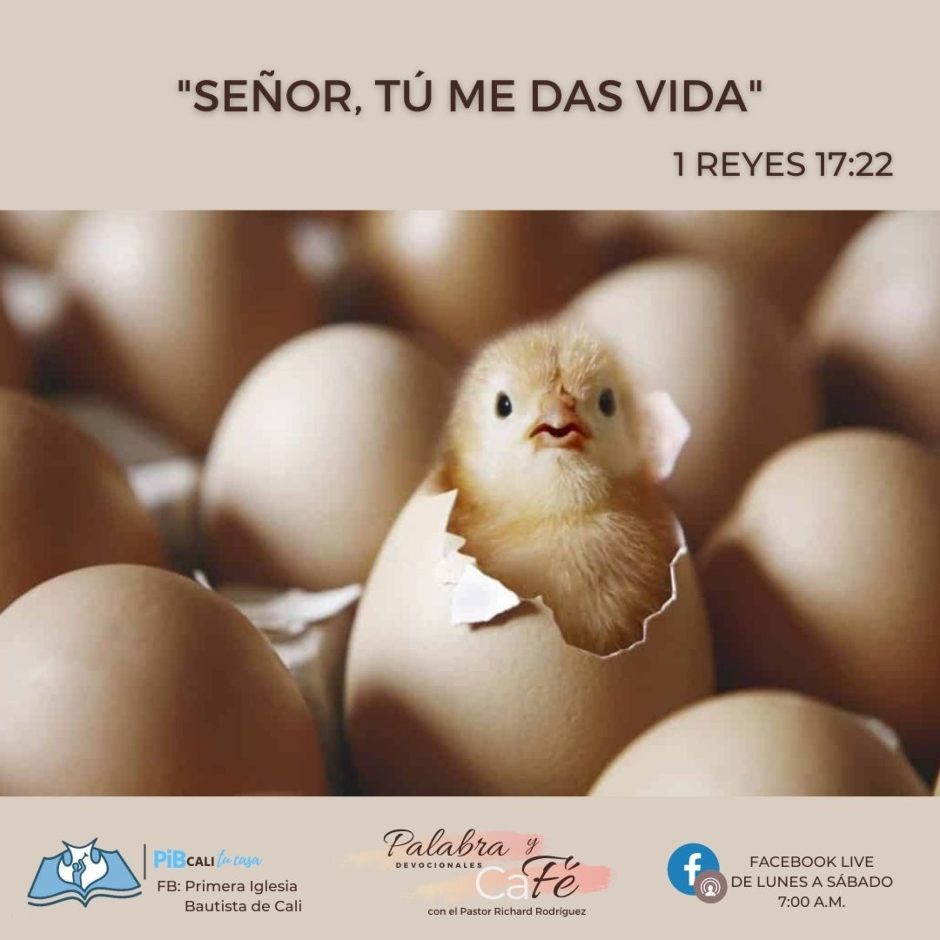 Señor, Tú me das vida episode artwork