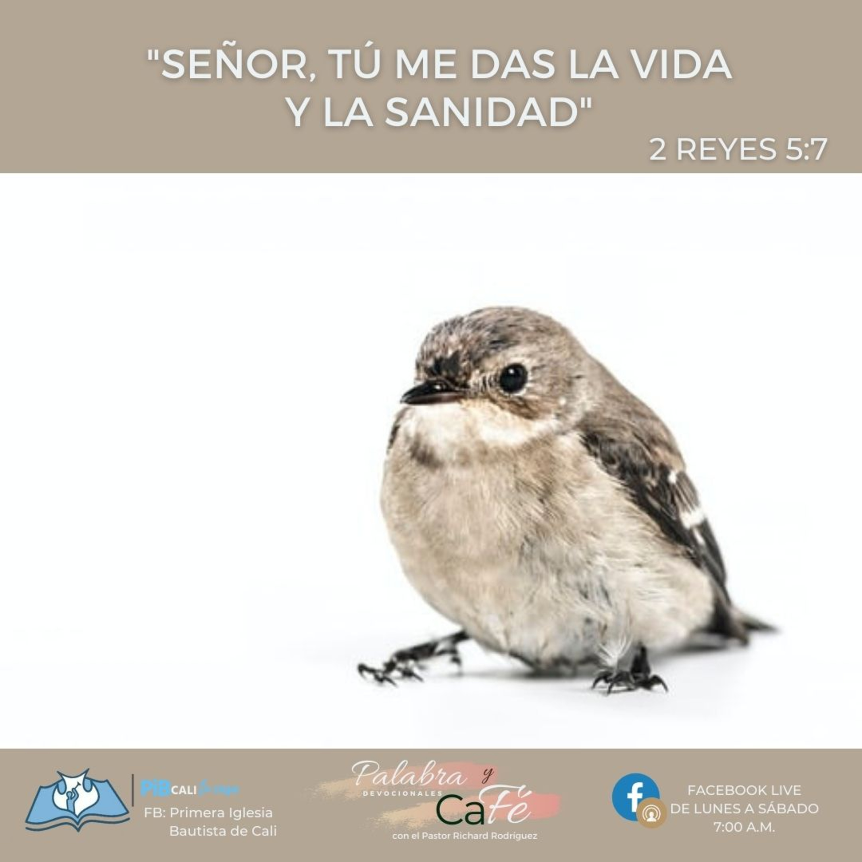Señor, Tú me das la Vida y La Sanidad episode artwork