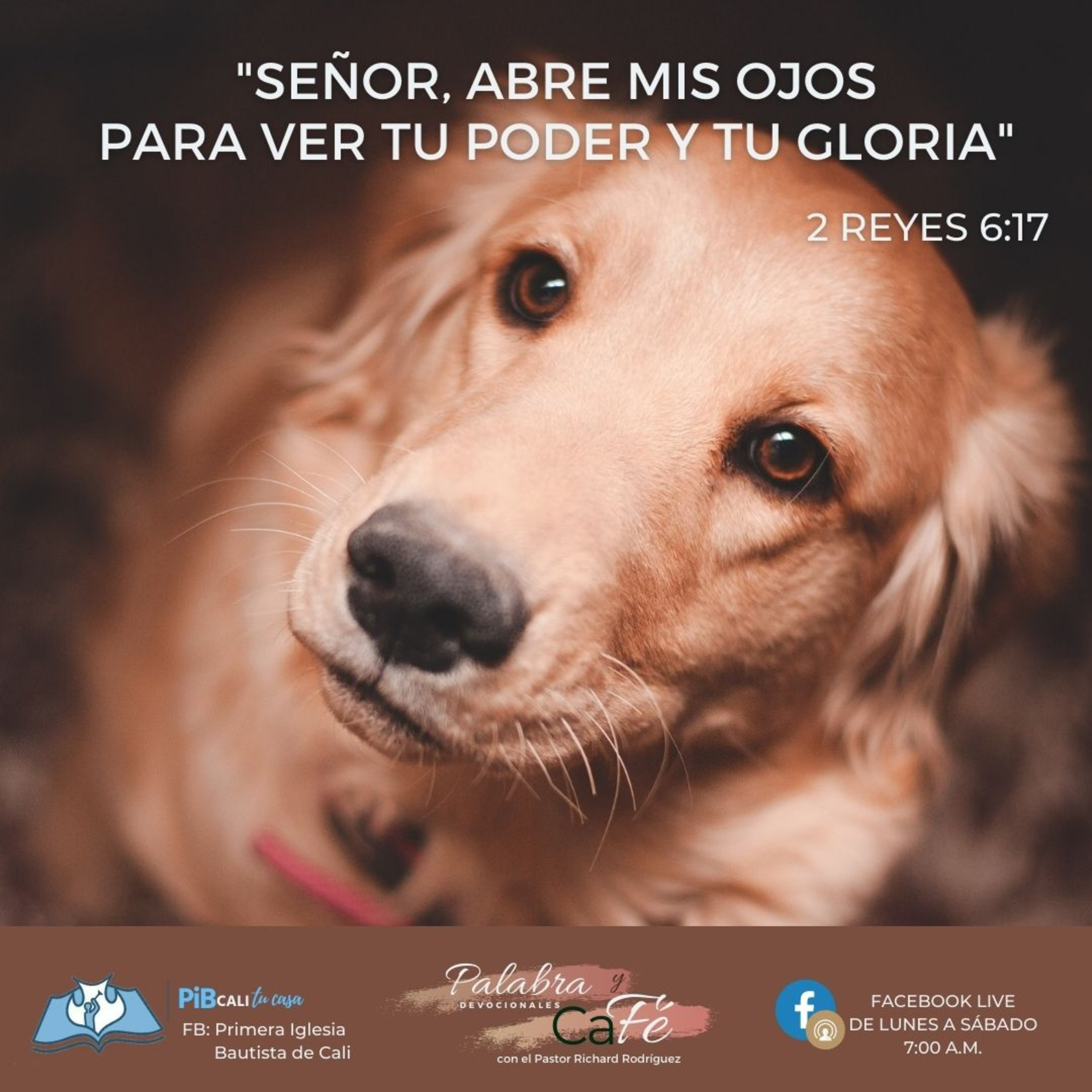 Señor, Abre Mis Ojos Para Ver Tu Poder y Tu Gloria episode artwork