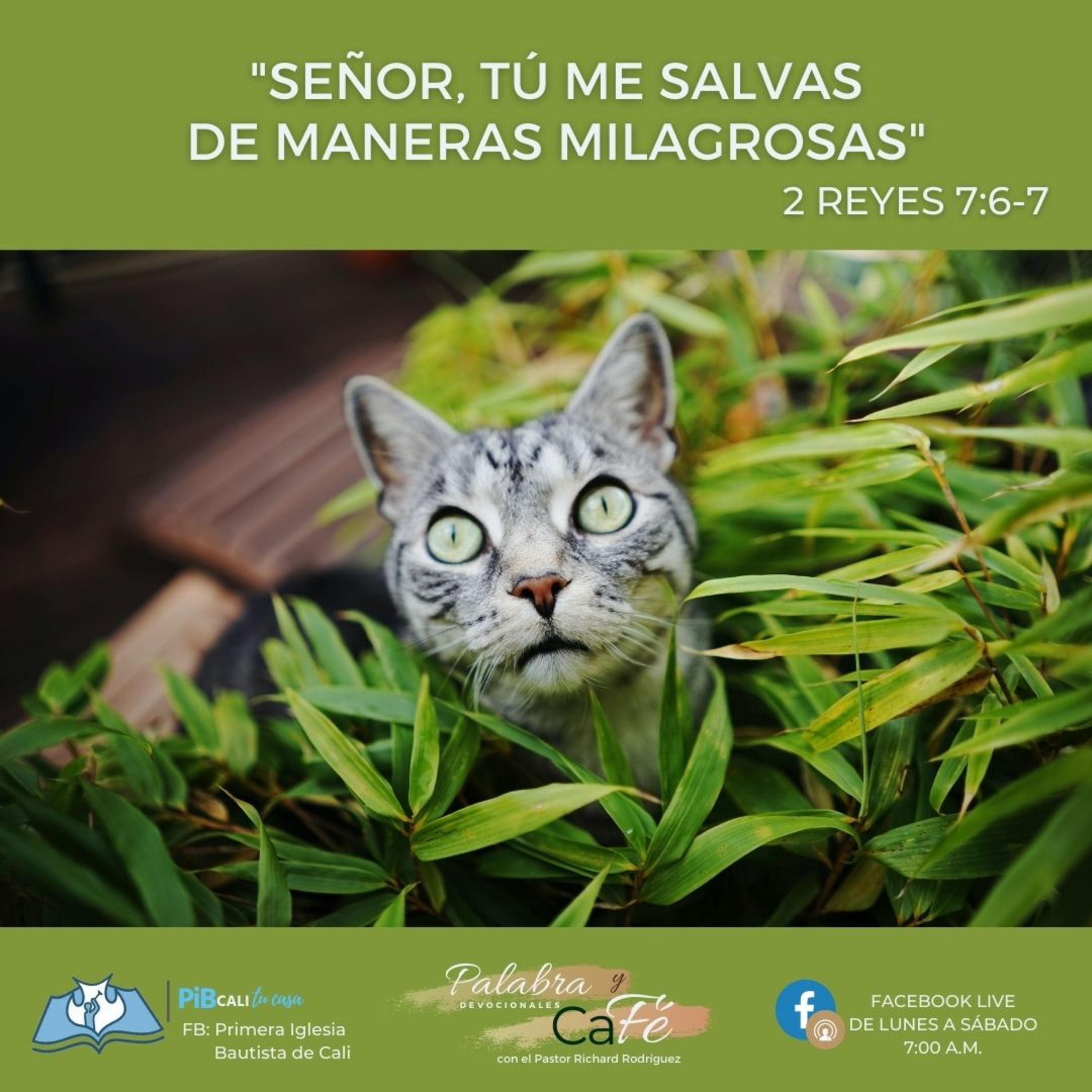 Señor, Tú me salvas de maneras milagrosas episode artwork