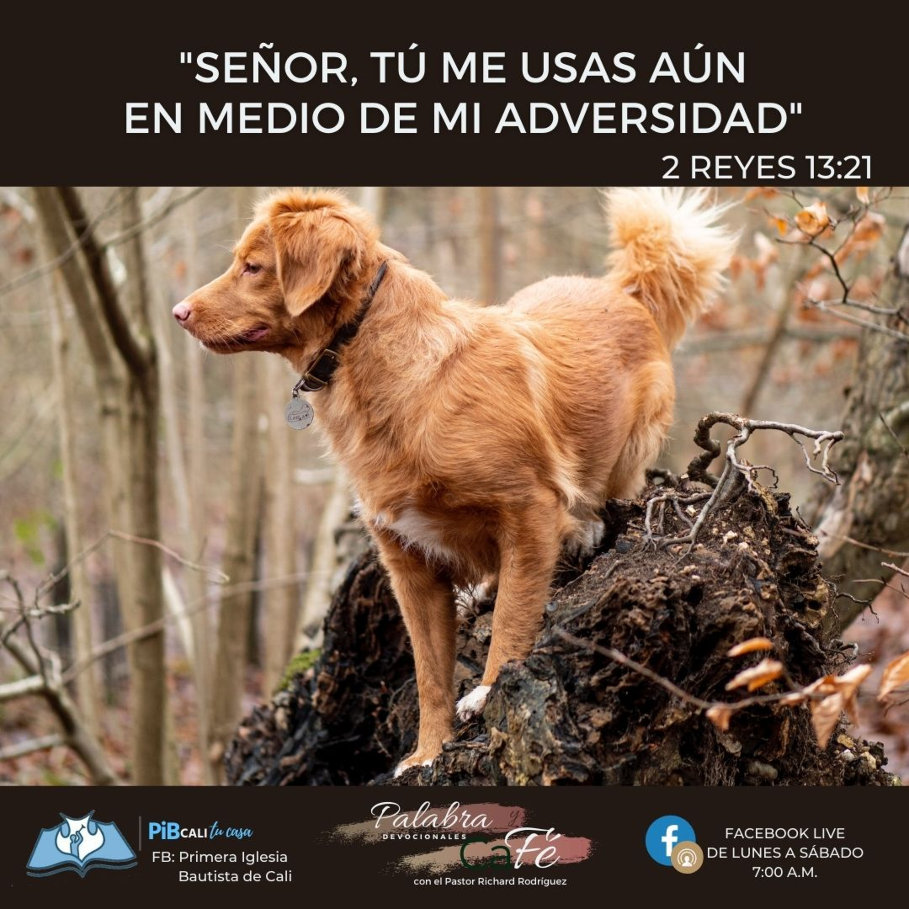 Señor, Tú me Usas en medio de mi adversidad episode artwork