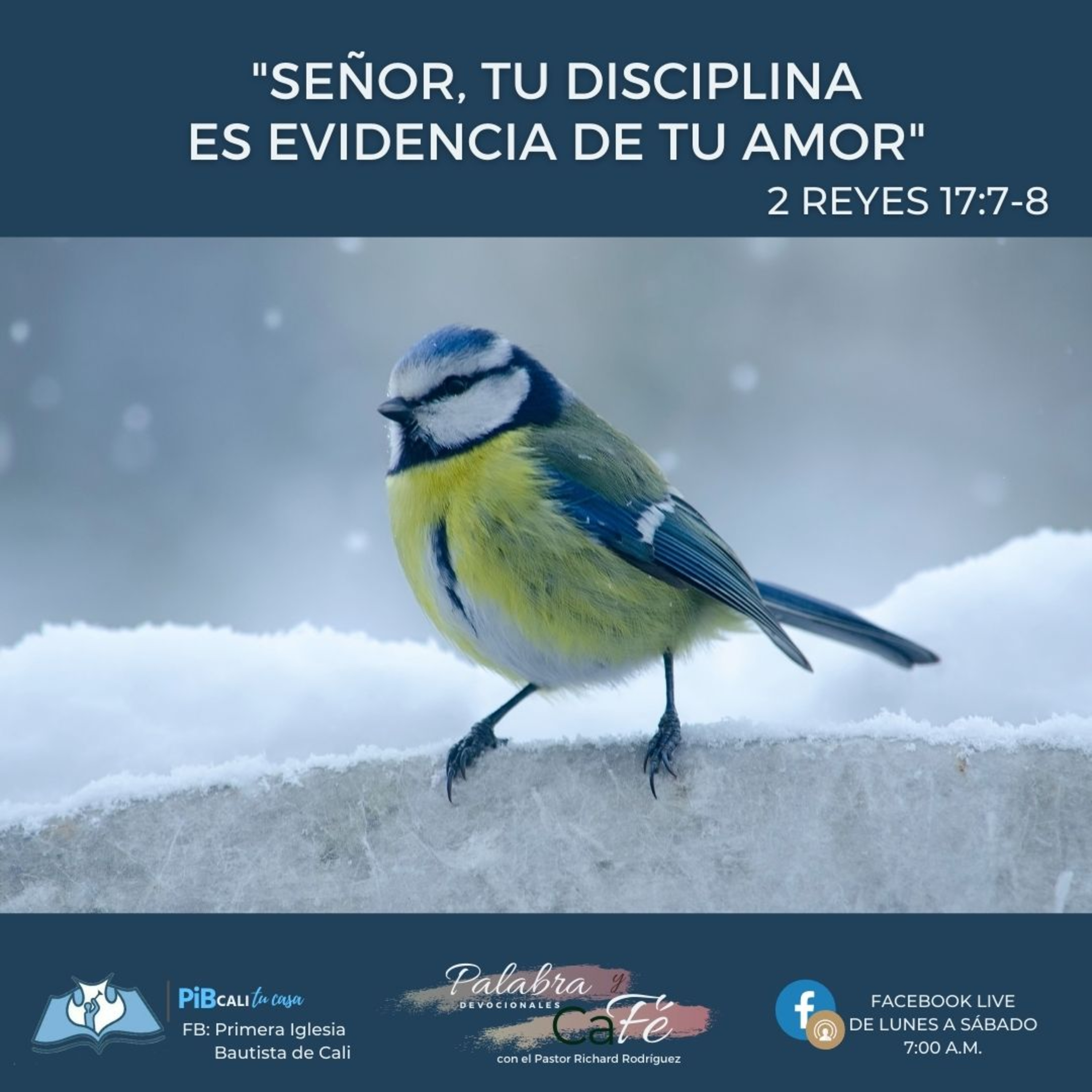 Señor, Tu Disciplina es Evidencia de Tu Amor episode artwork