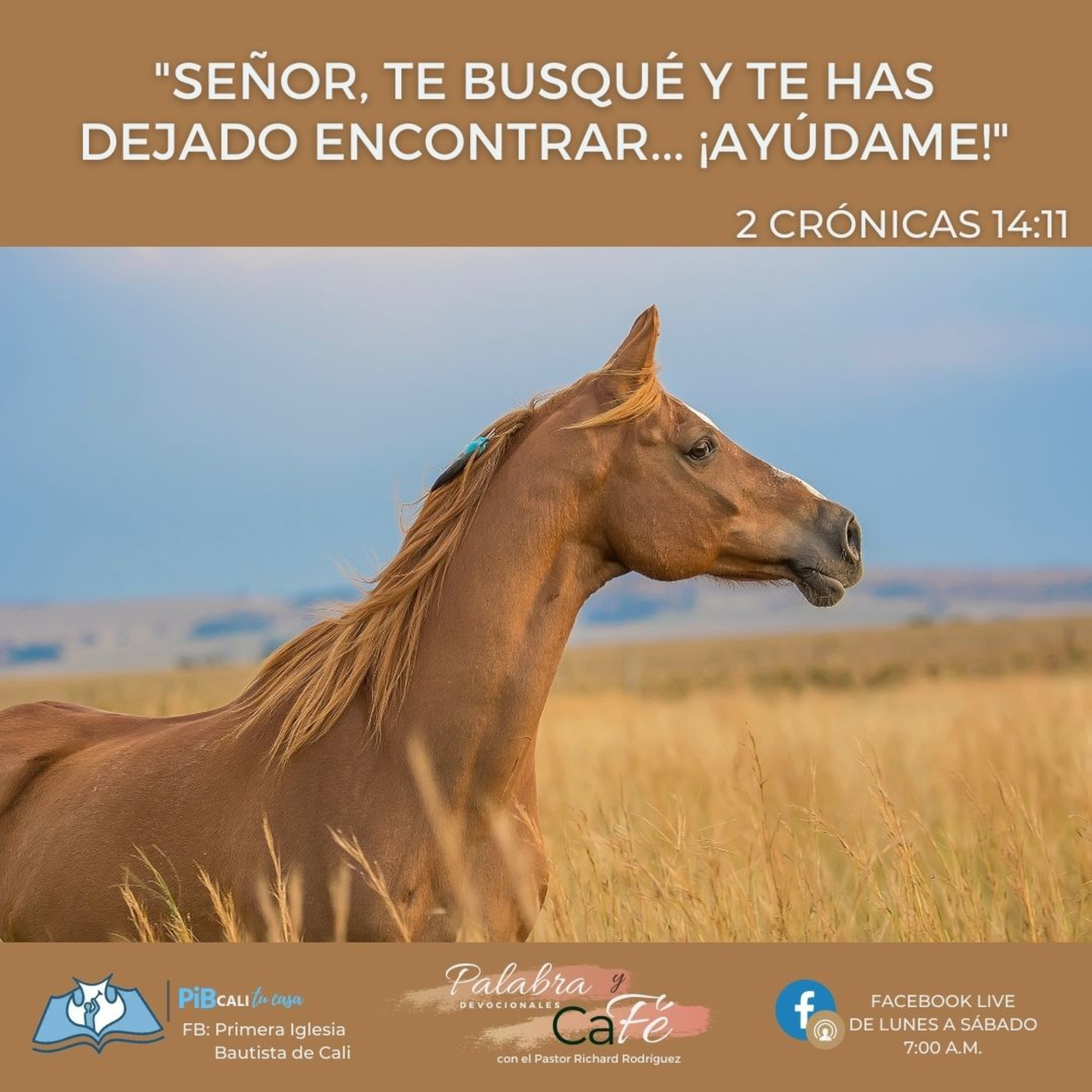 Señor, te busqué y te has dejado encontrar. Ayúdame! episode artwork