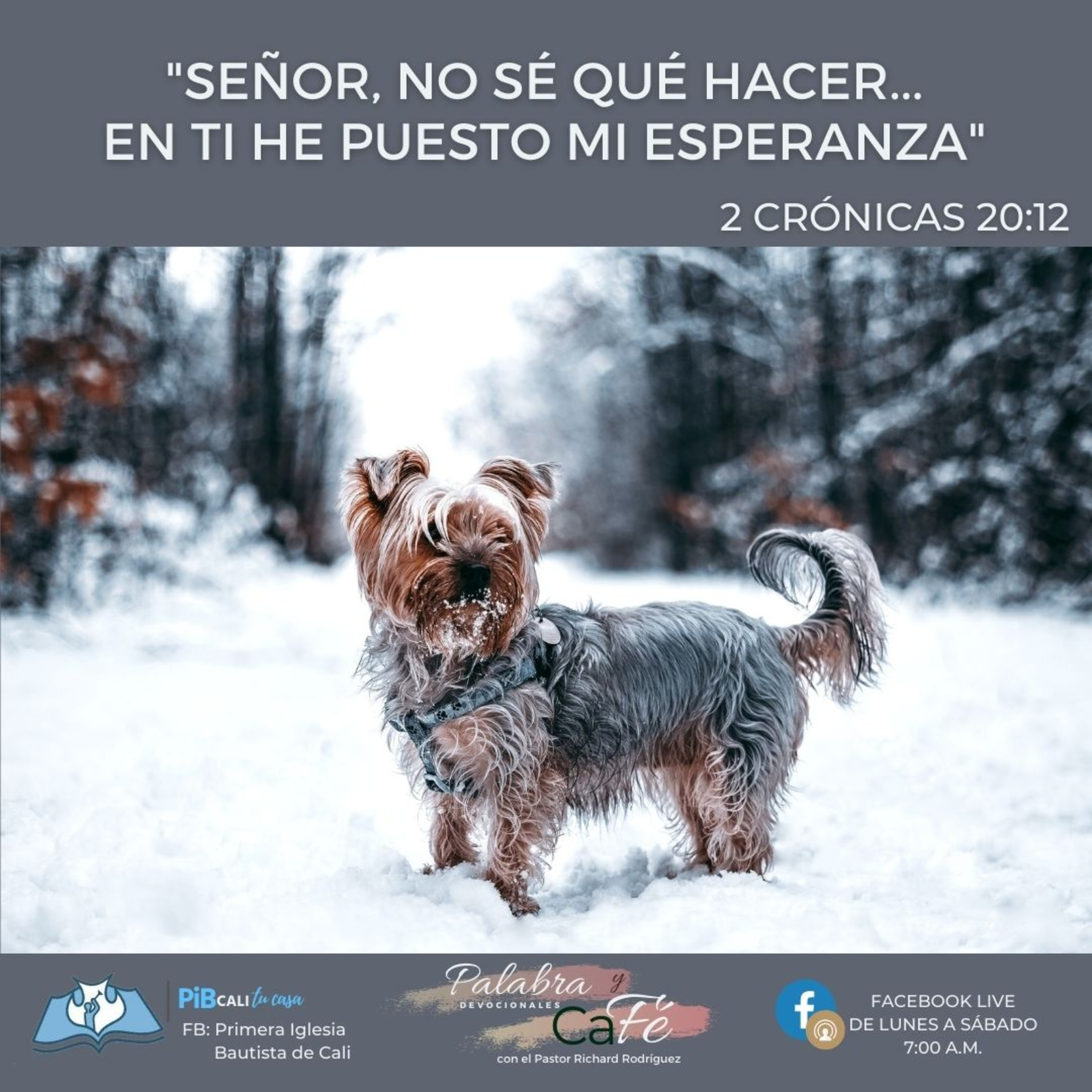 ”Señor, no sé qué hacer, y en ti he puesto mi esperanza.” episode artwork