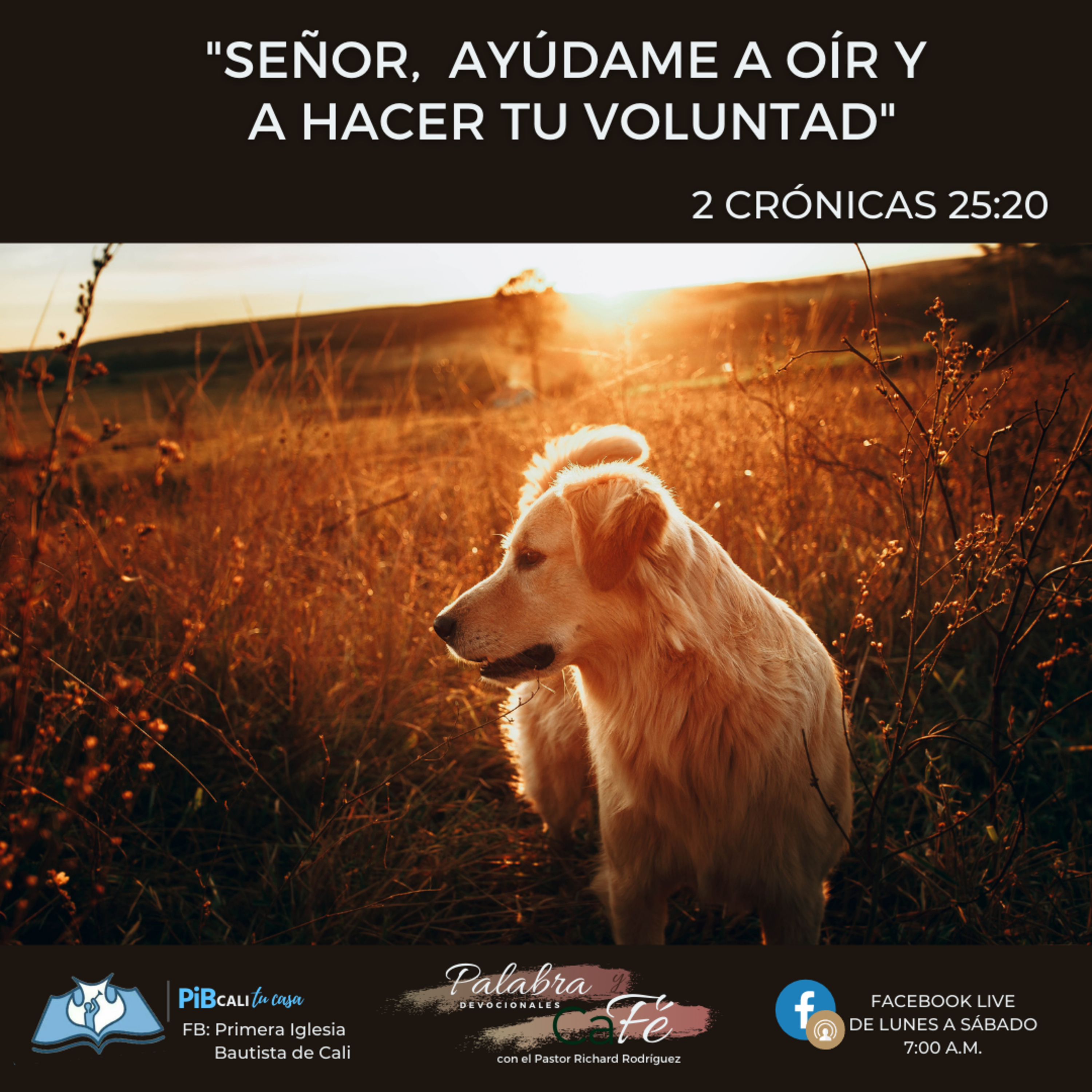 Señor, ayúdame a oír y a hacer Tu voluntad episode artwork