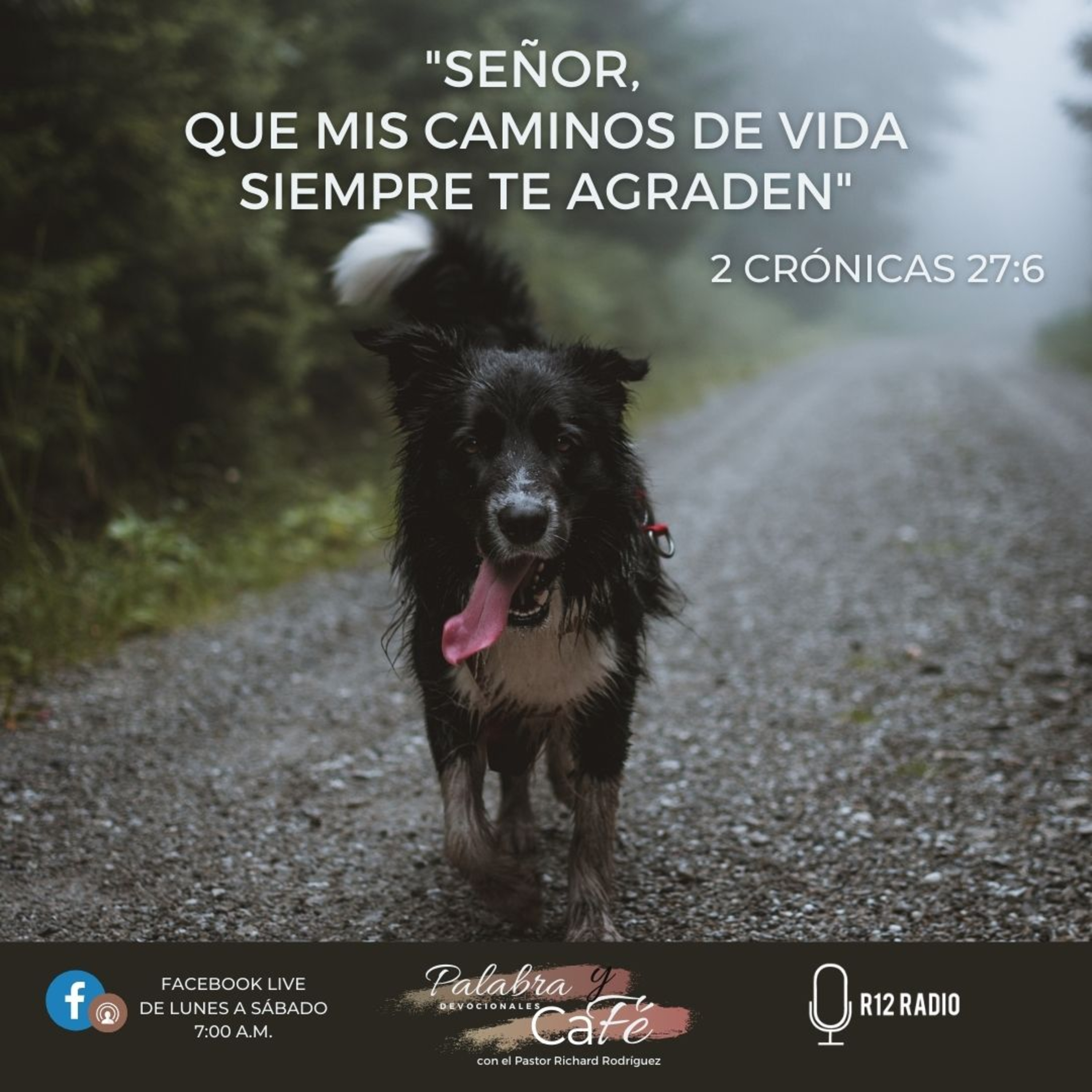 ”Señor, que mis caminos de vida siempre te agraden” episode artwork