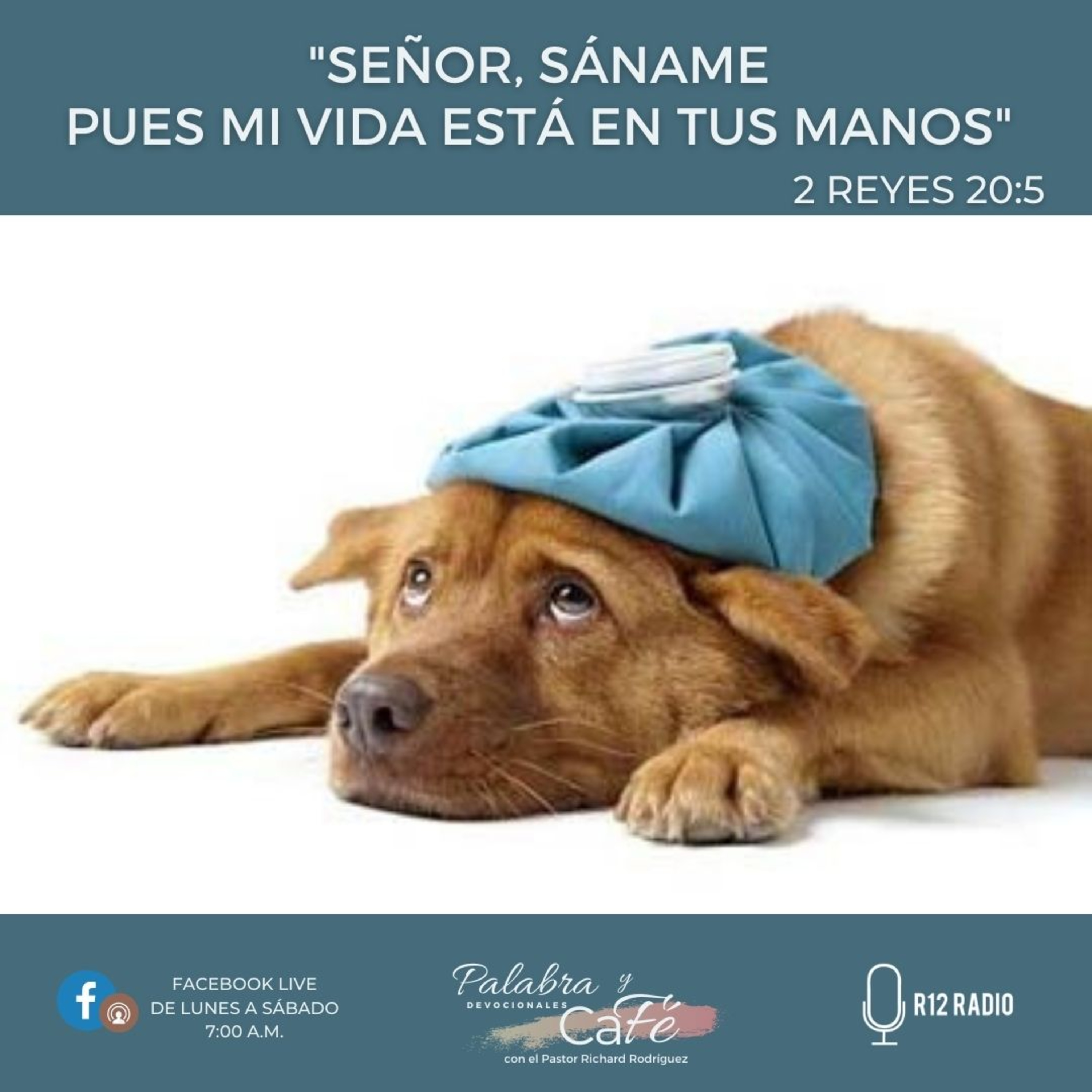 Señor, sáname, pues mi vida está en Tus manos. episode artwork