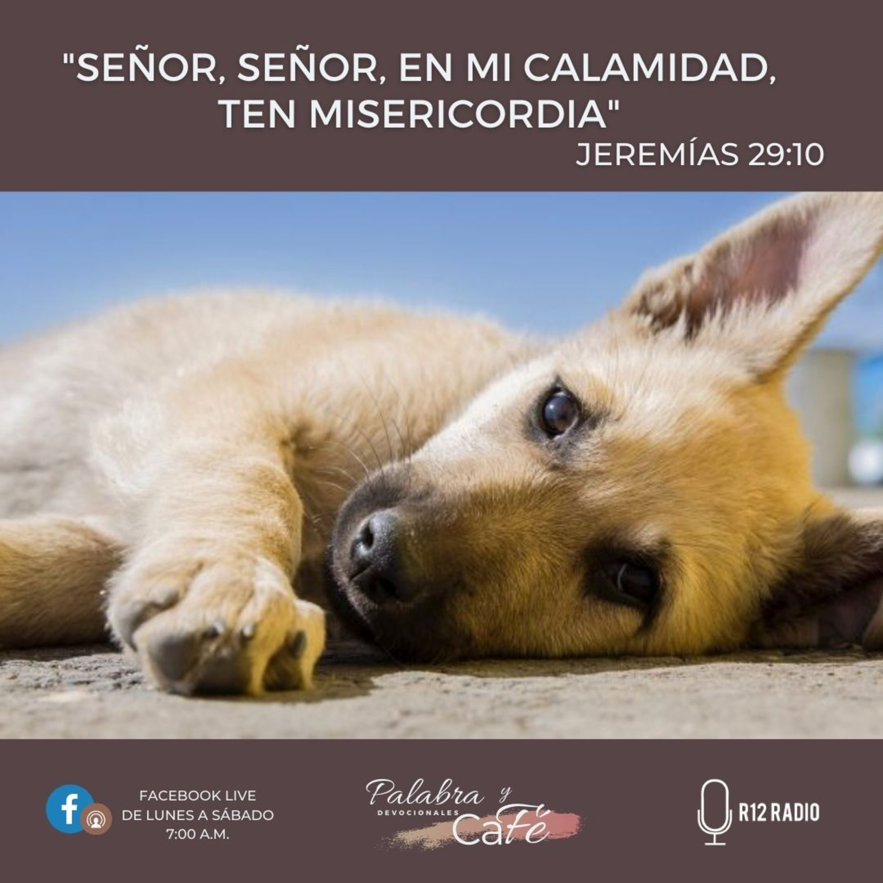 Señor, en mi calamidad, ten misericordia. episode artwork