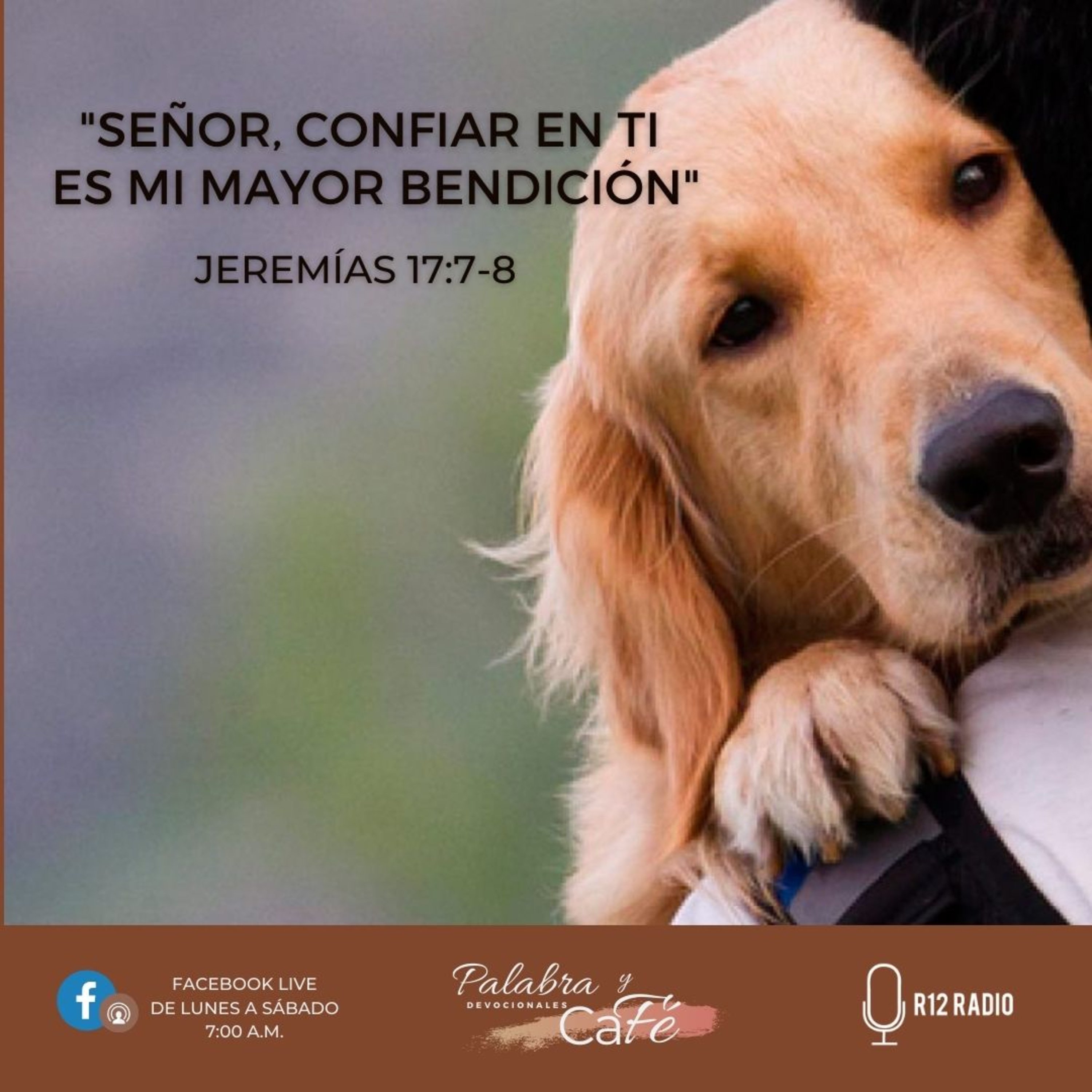 Señor, Confiar en Ti es mi Mayor Bendición episode artwork