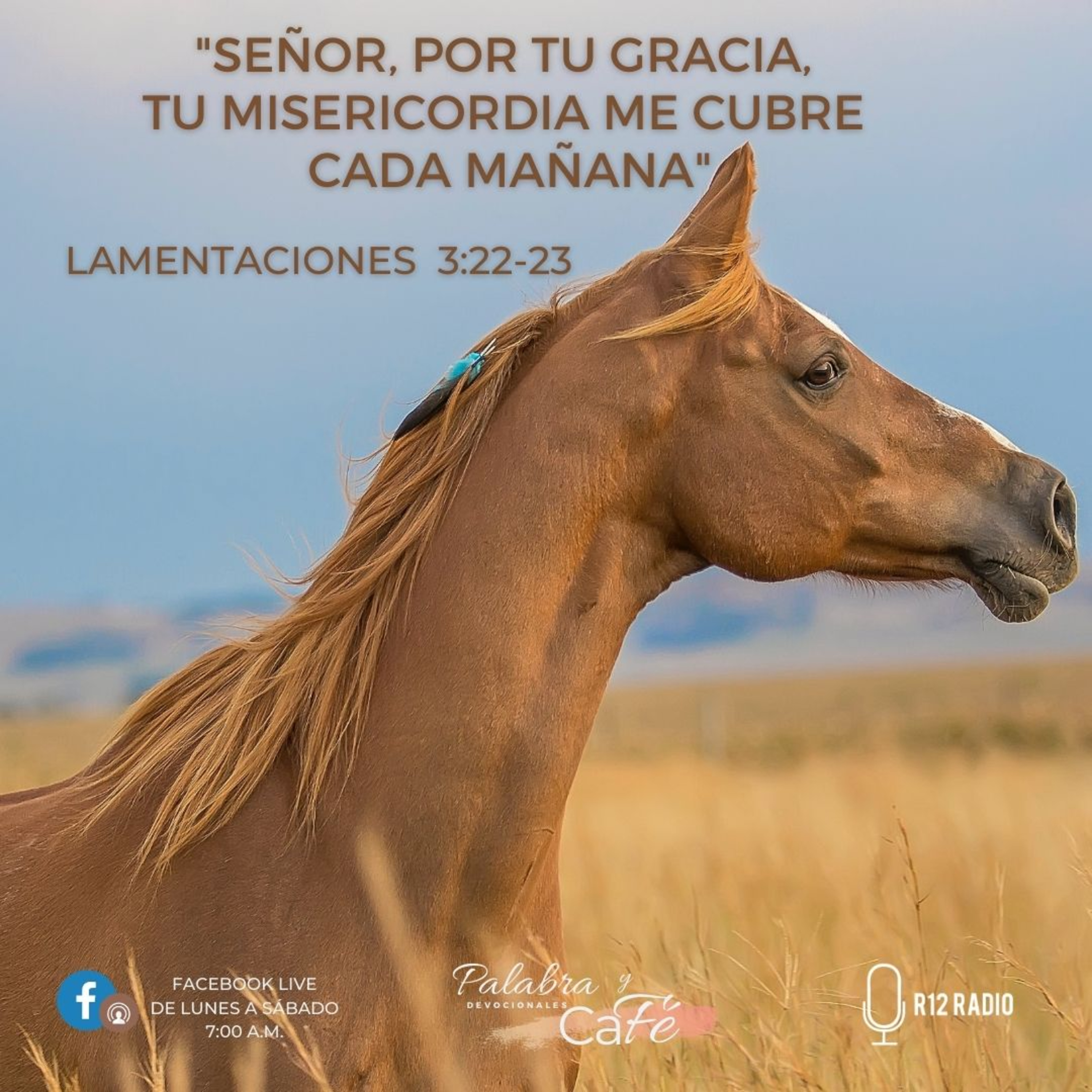 Señor, por tu gracia, tu misericordia me cubre cada mañana episode artwork