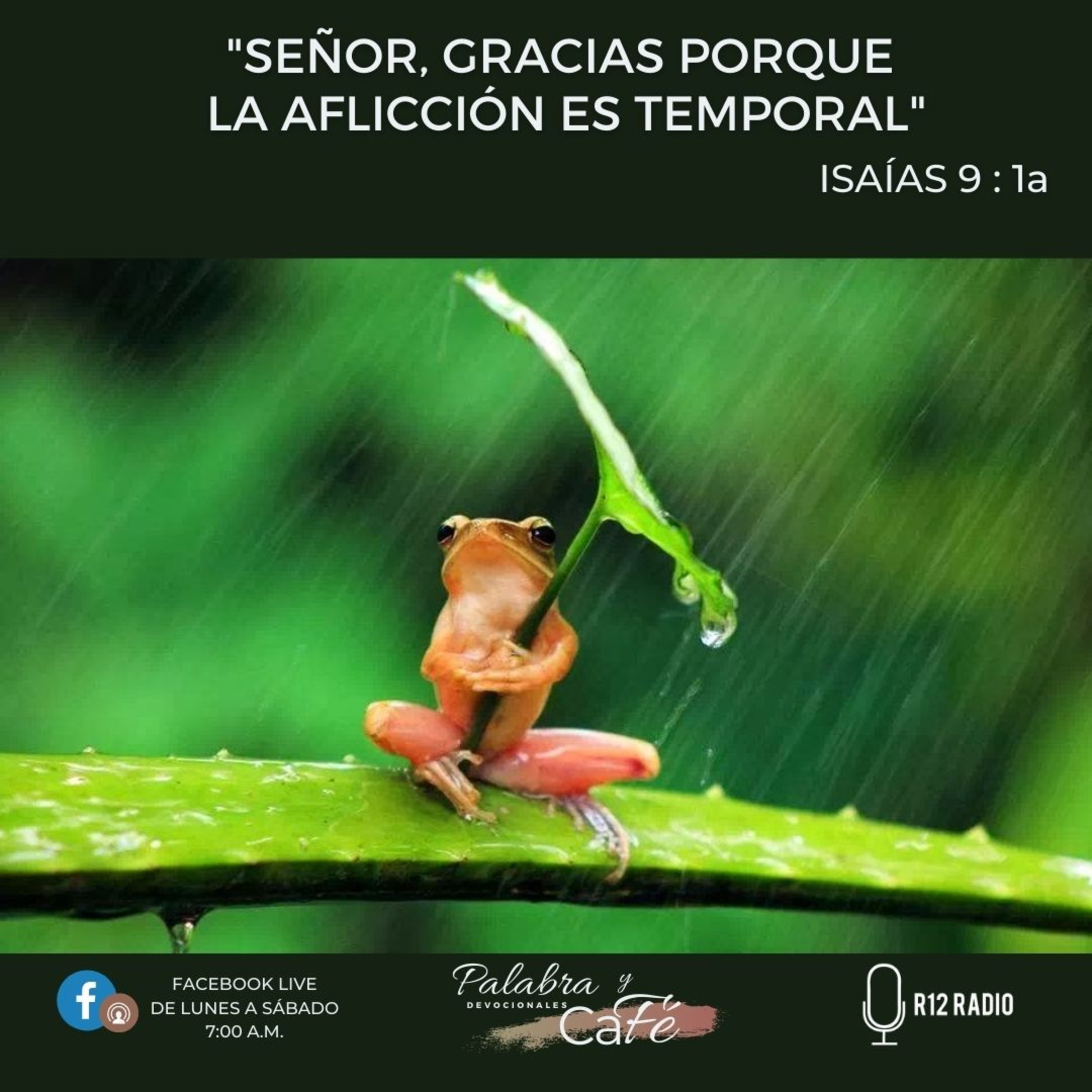Señor, gracias porque la aflicción es temporal episode artwork