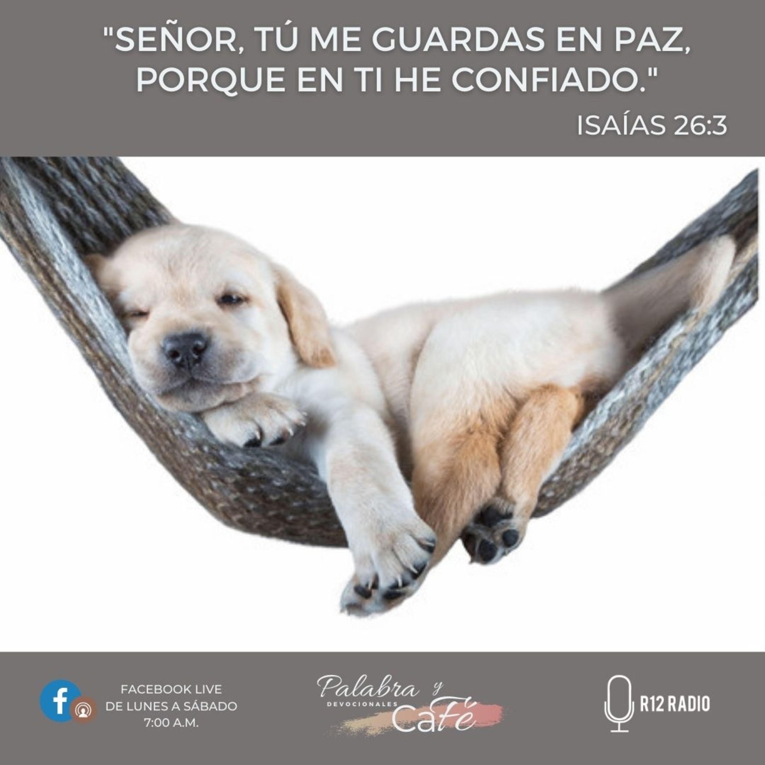 Señor, tú me guardas en paz, porque en ti he confiado episode artwork