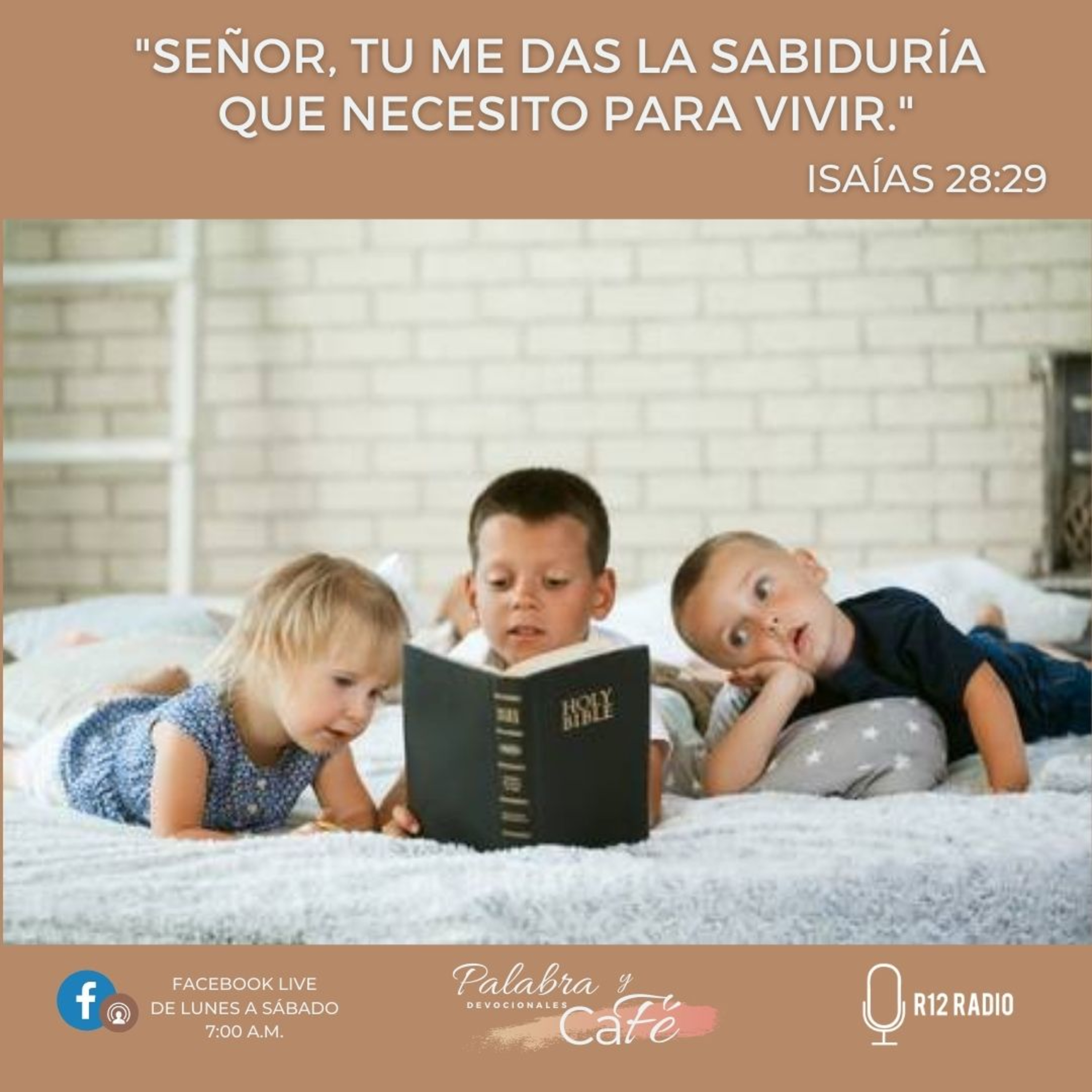 Señor, tu me das la sabiduría que necesito para vivir. episode artwork