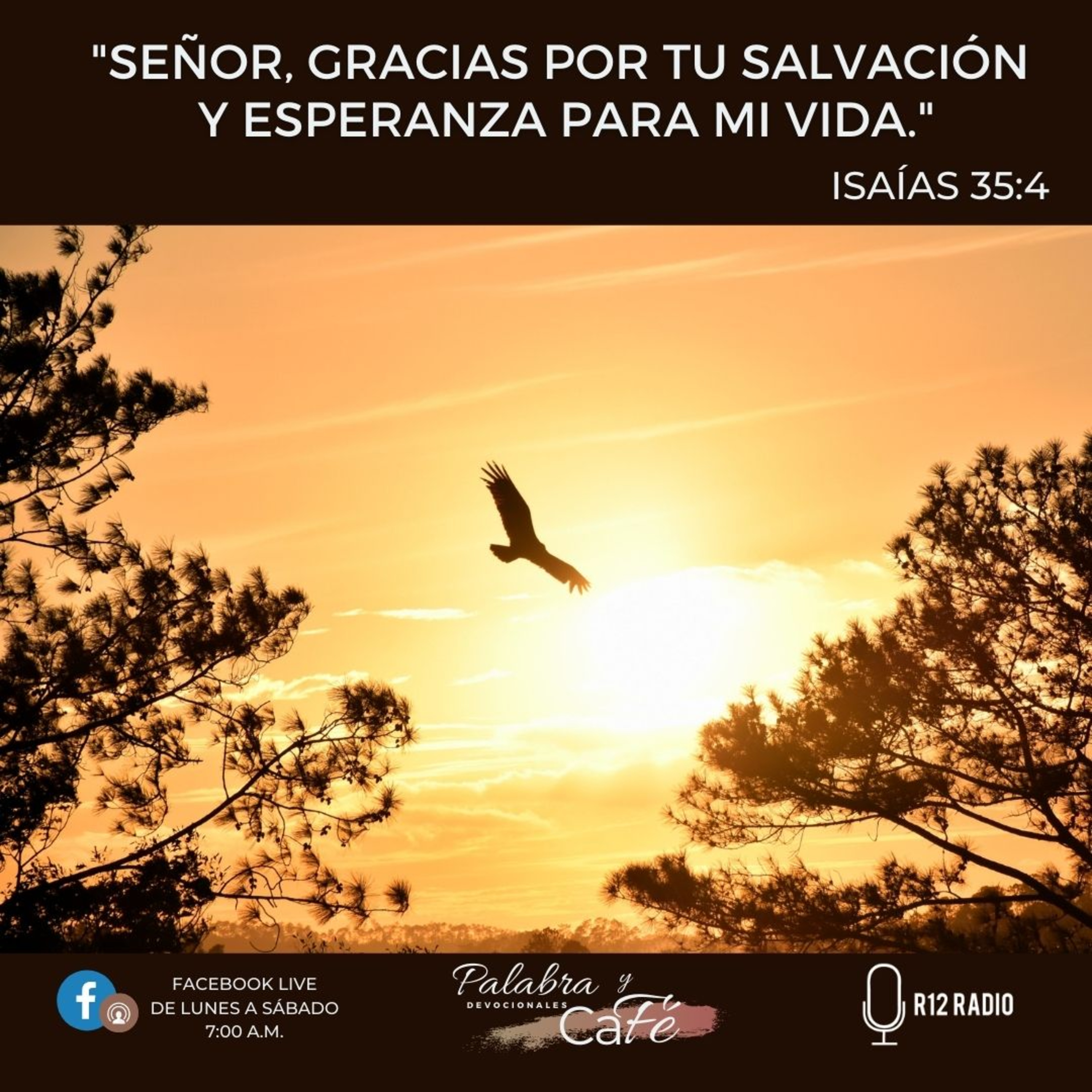 Señor, Gracias por Tu Salvación y Esperanza para mi Vida. episode artwork