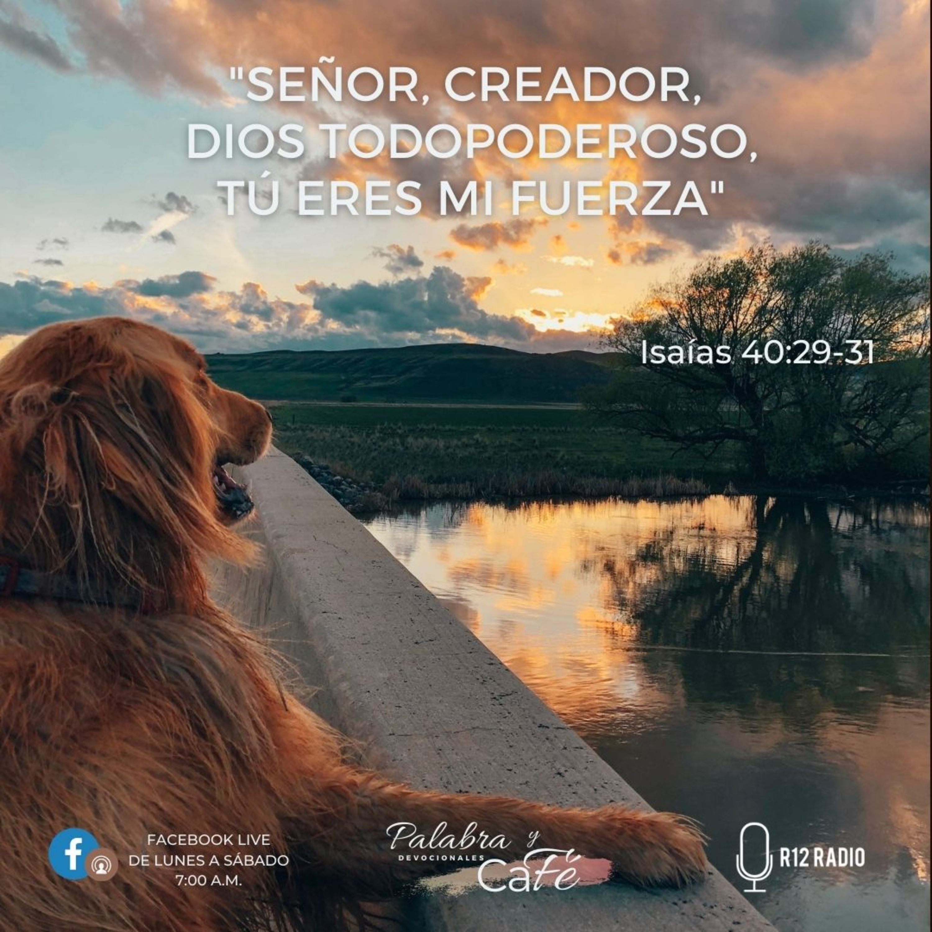 Señor, Creador, Dios todopoderoso, tú eres mi fuerza. episode artwork