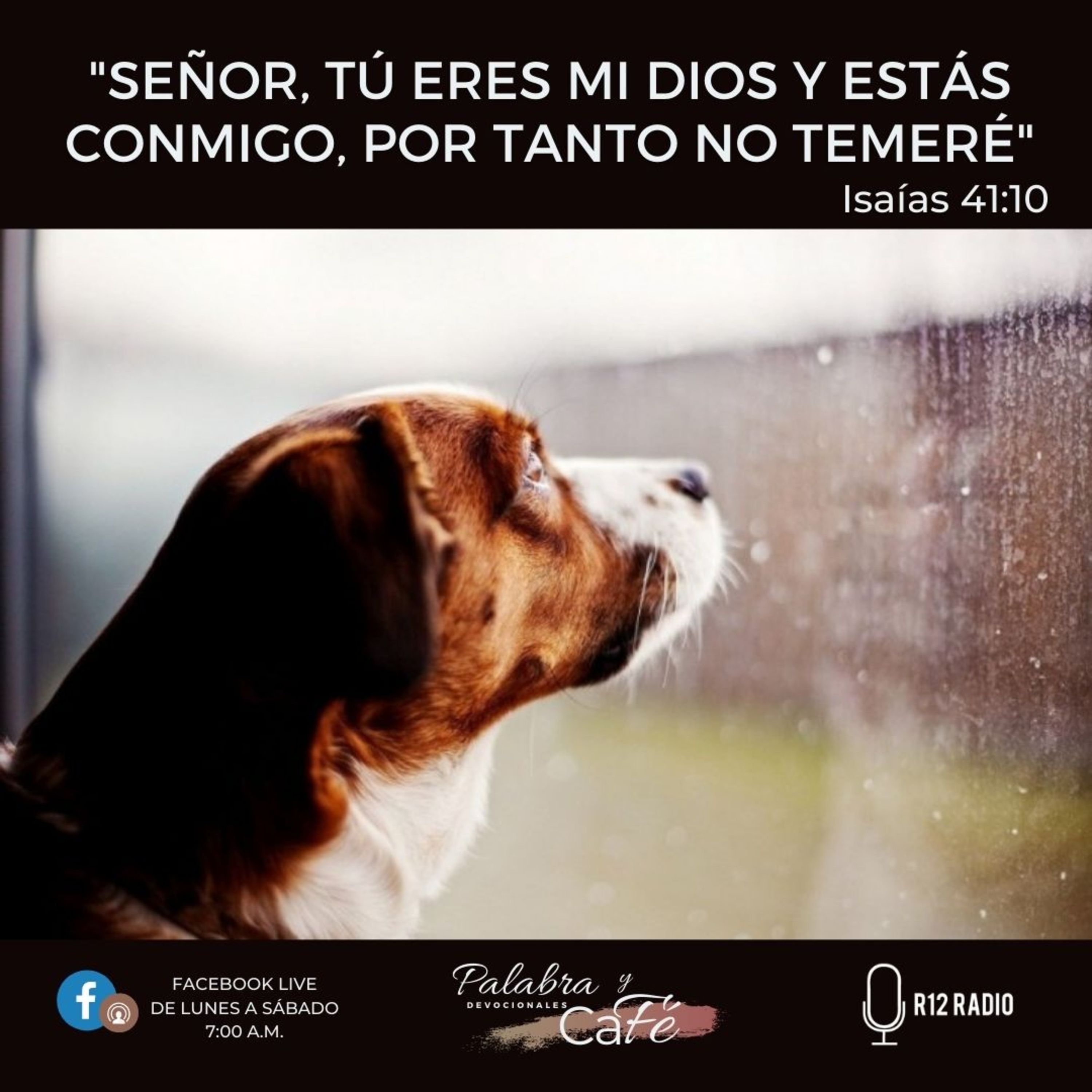Señor, tú eres mi Dios y estás conmigo, por tanto no temeré episode artwork