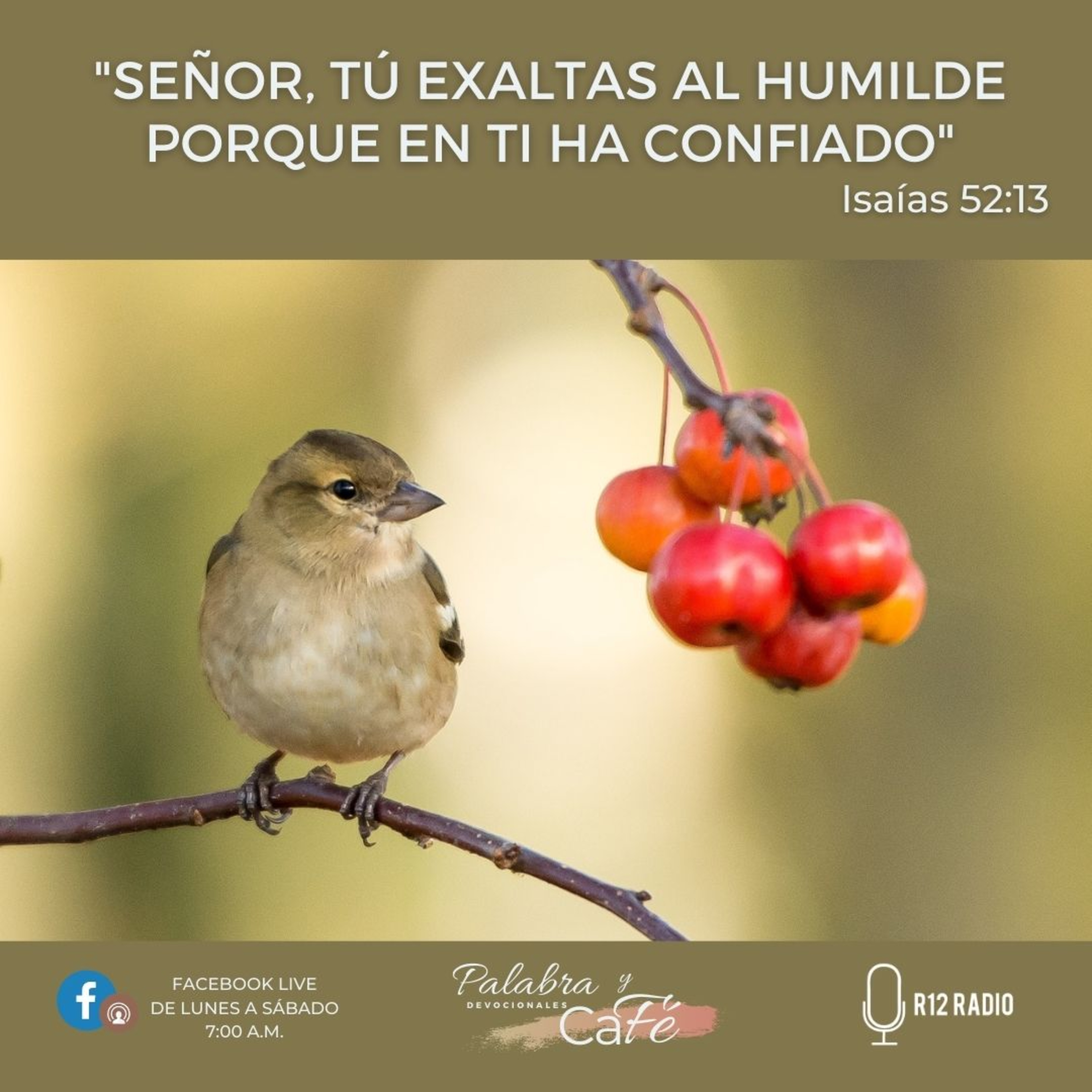 Señor, Tú exaltas al humilde porque en Ti ha confiado episode artwork