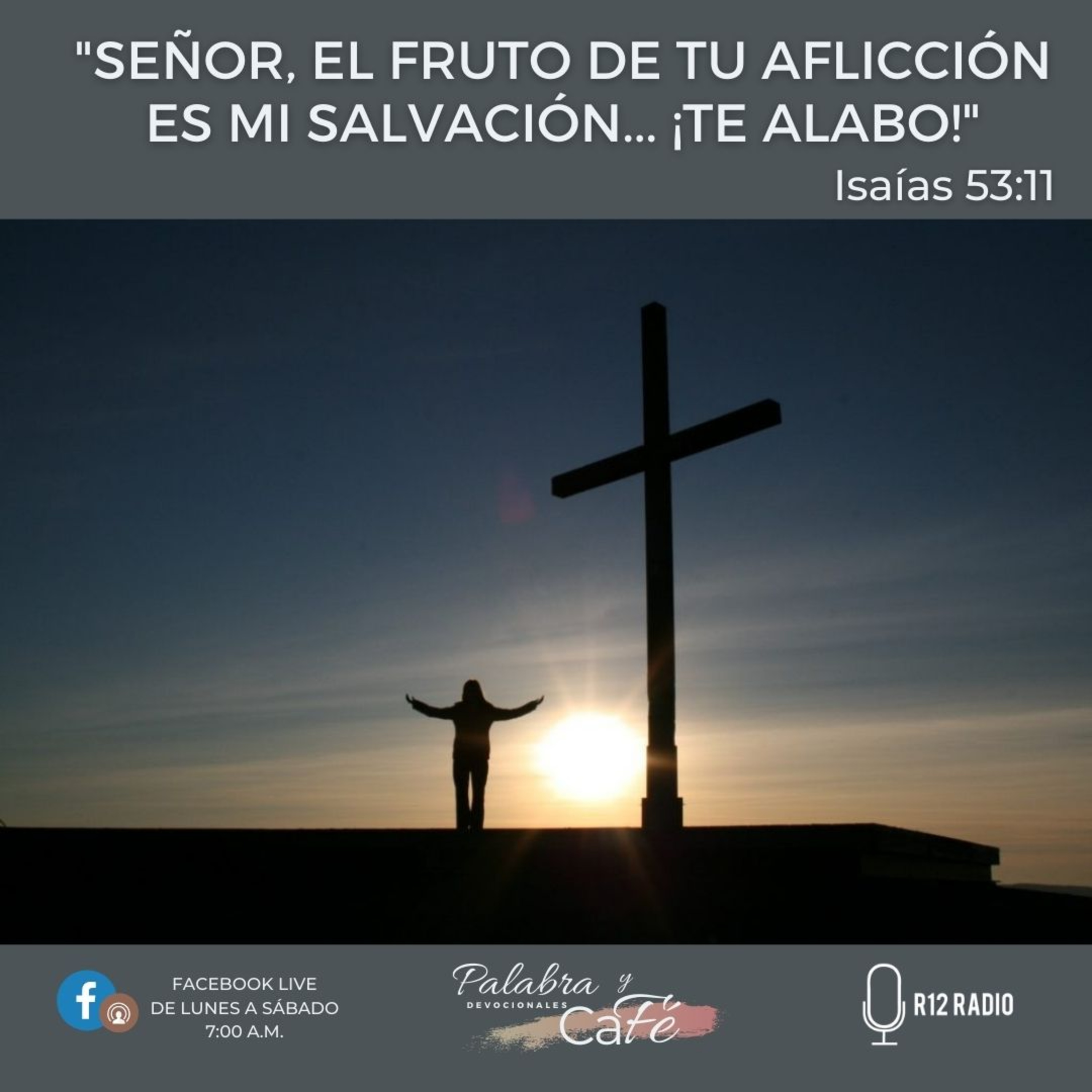 Señor, el fruto de tu aflicción es mi salvación... ¡Te alabo! episode artwork