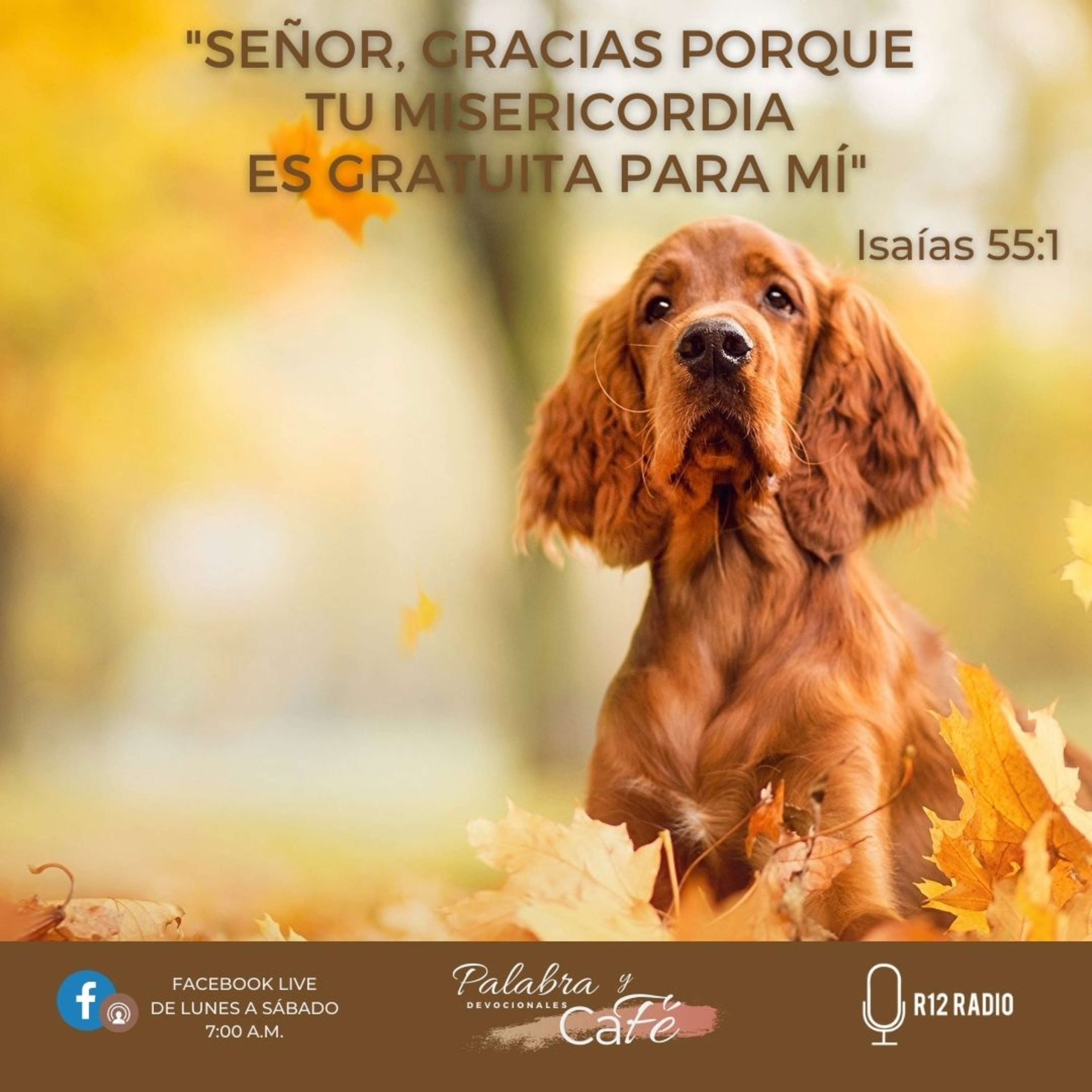 Señor, gracias porque Tu misericordia es gratuita para mí  episode artwork