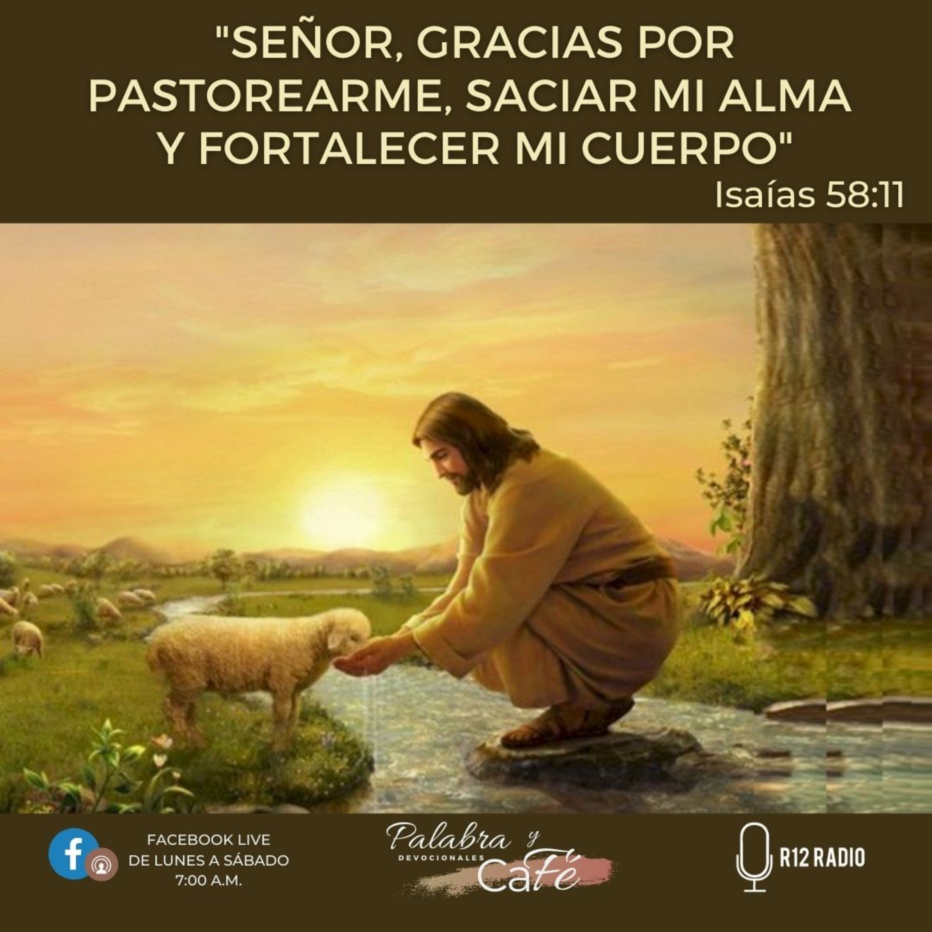 Señor, gracias por pastorearme, saciar mi alma y fortalecer mi cuerpo - Isaías 58:11 episode artwork