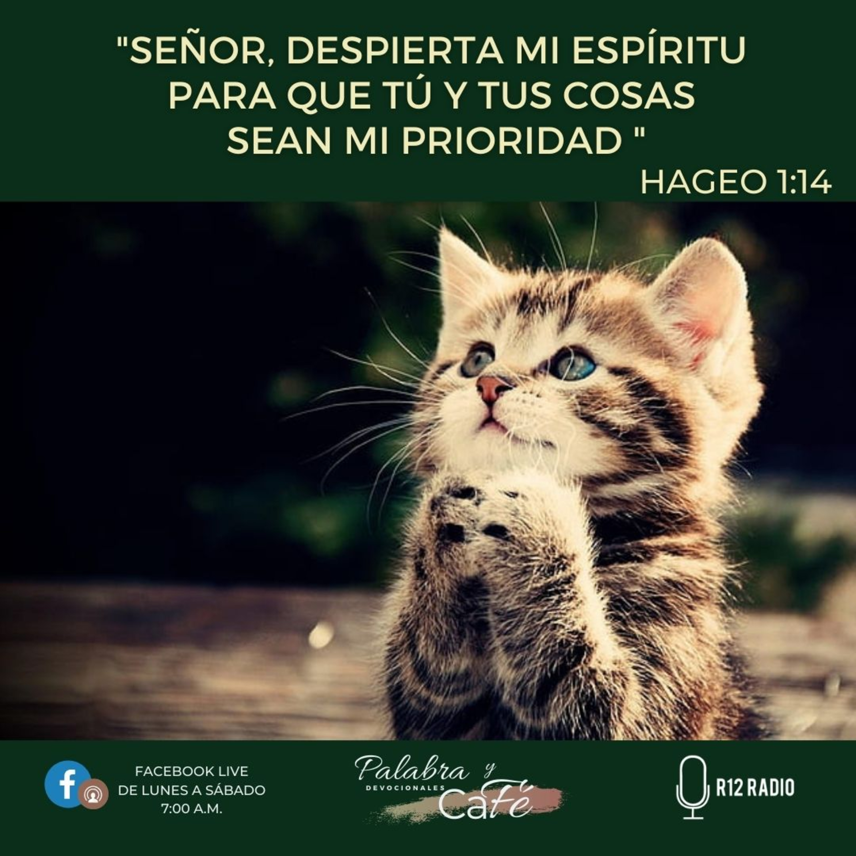 Señor, despierta mi espíritu para que Tú y Tus cosas sean mi prioridad - Hageo 1:14 episode artwork