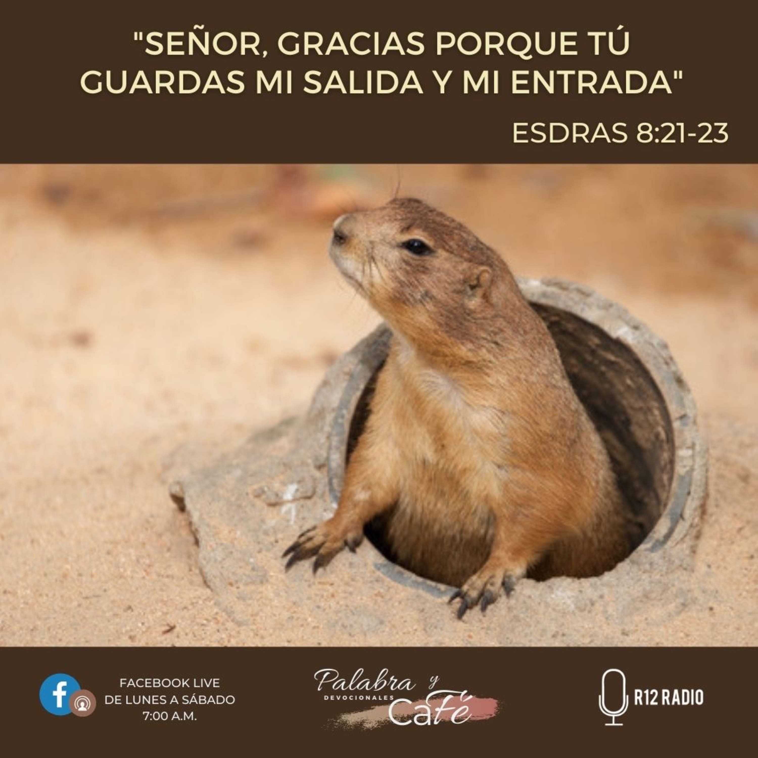 Señor, gracias porque tú guardas mi salida y mi entrada - Esdras 8:21,23 episode artwork