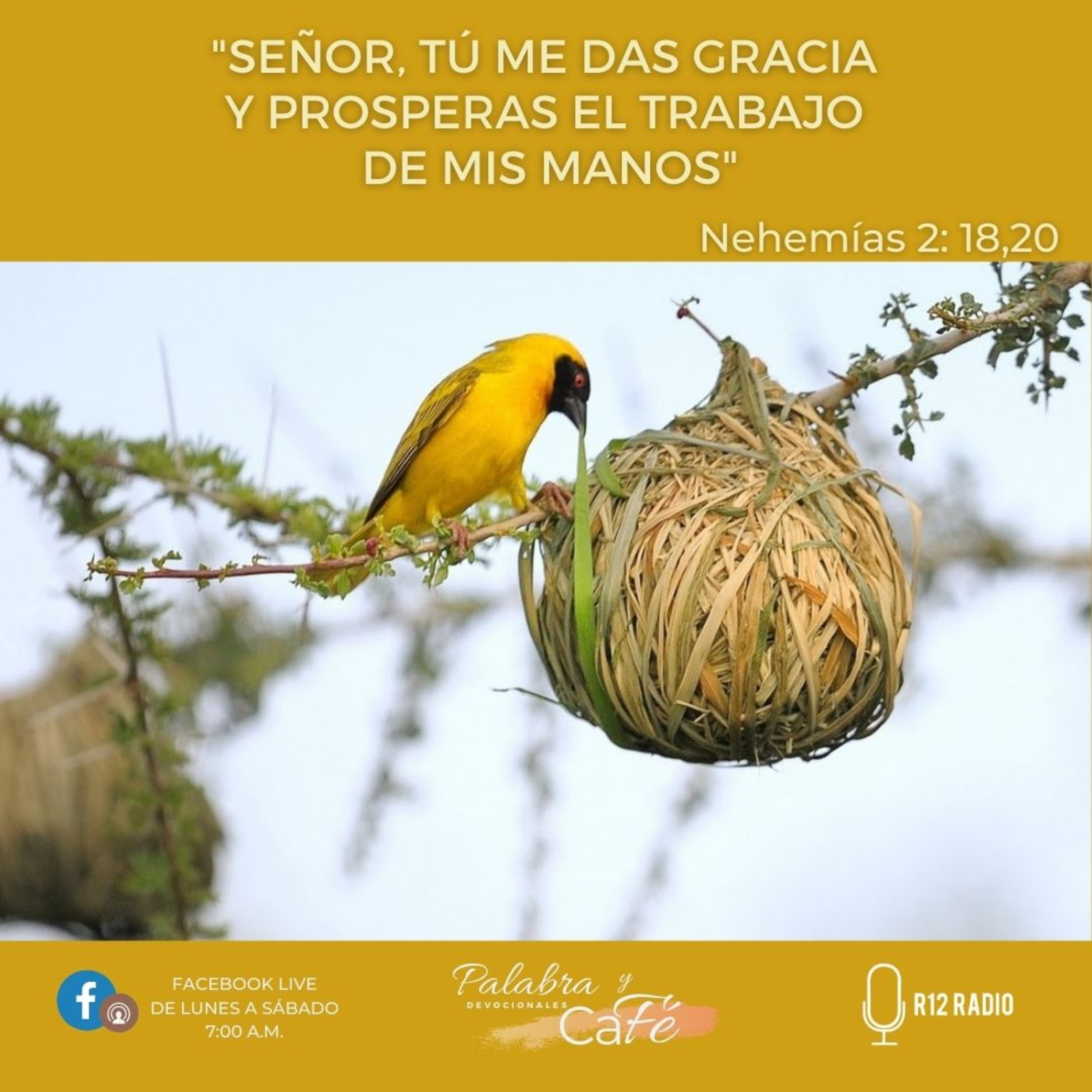 Señor, Tú me das gracia y prosperas el trabajo de mis manos. Nehemías 2:18,20 episode artwork