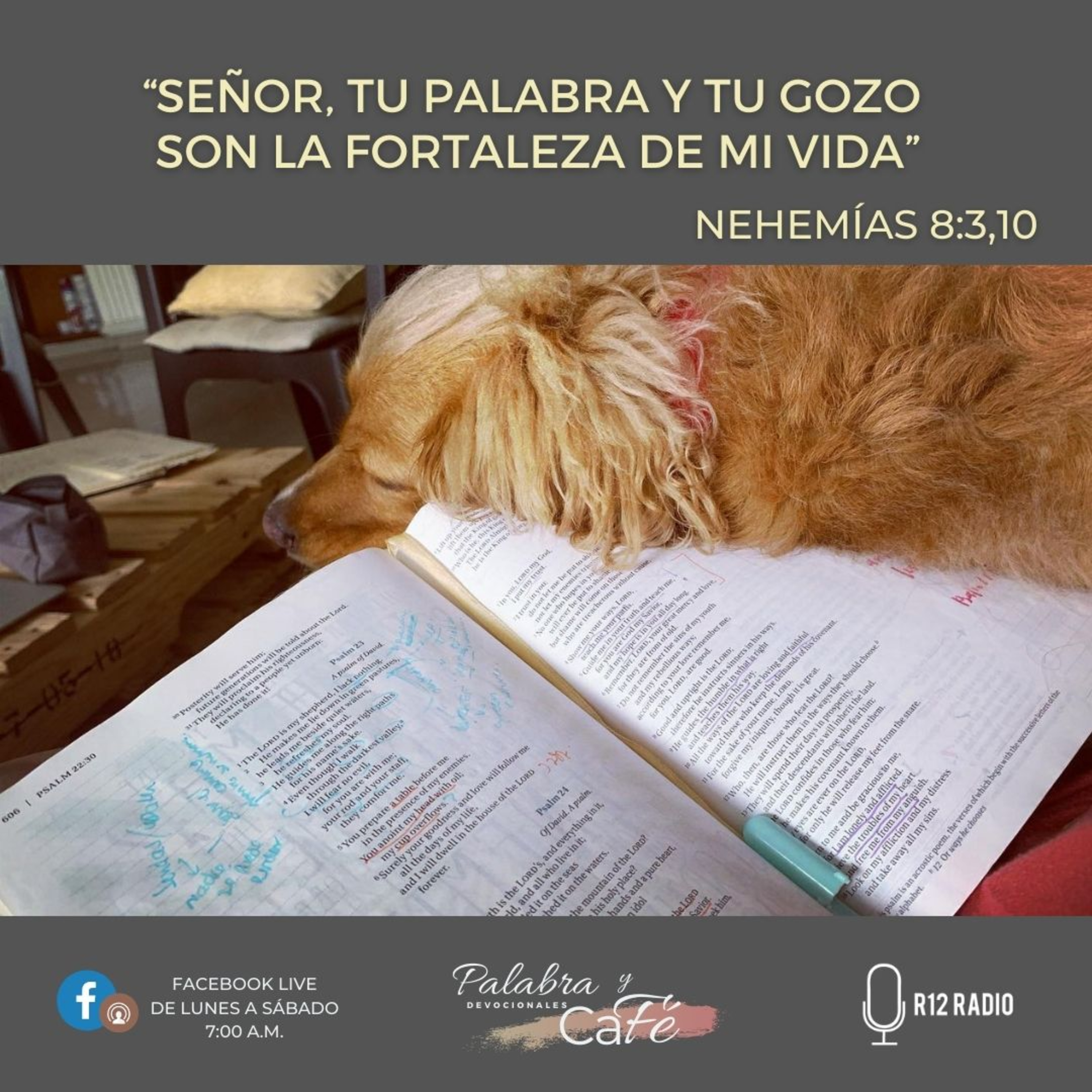 Señor, Tu Palabra y Gozo son la fortaleza de mi vida. episode artwork