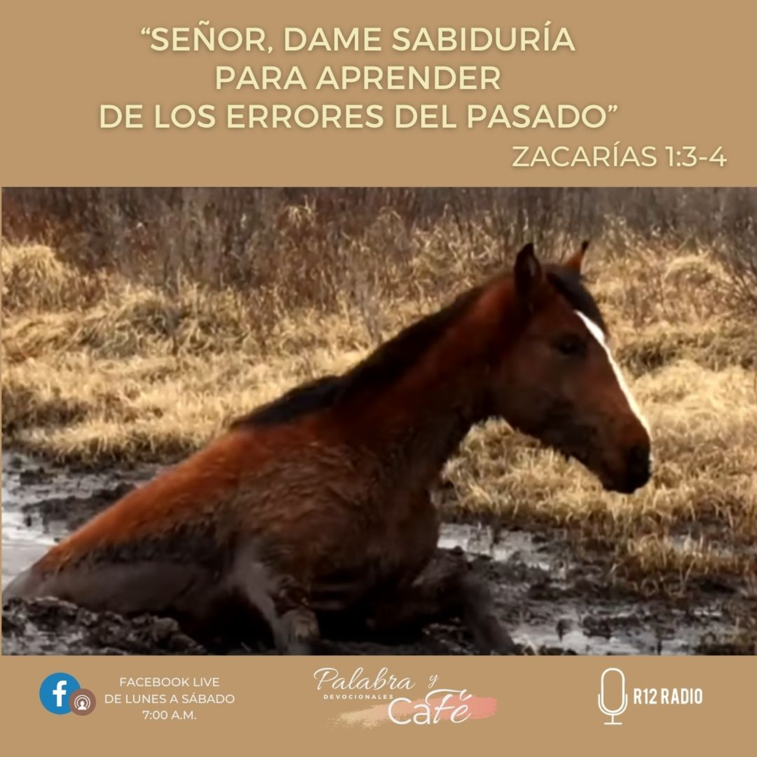 Señor, dame sabiduría para aprender de los errores del pasado  episode artwork