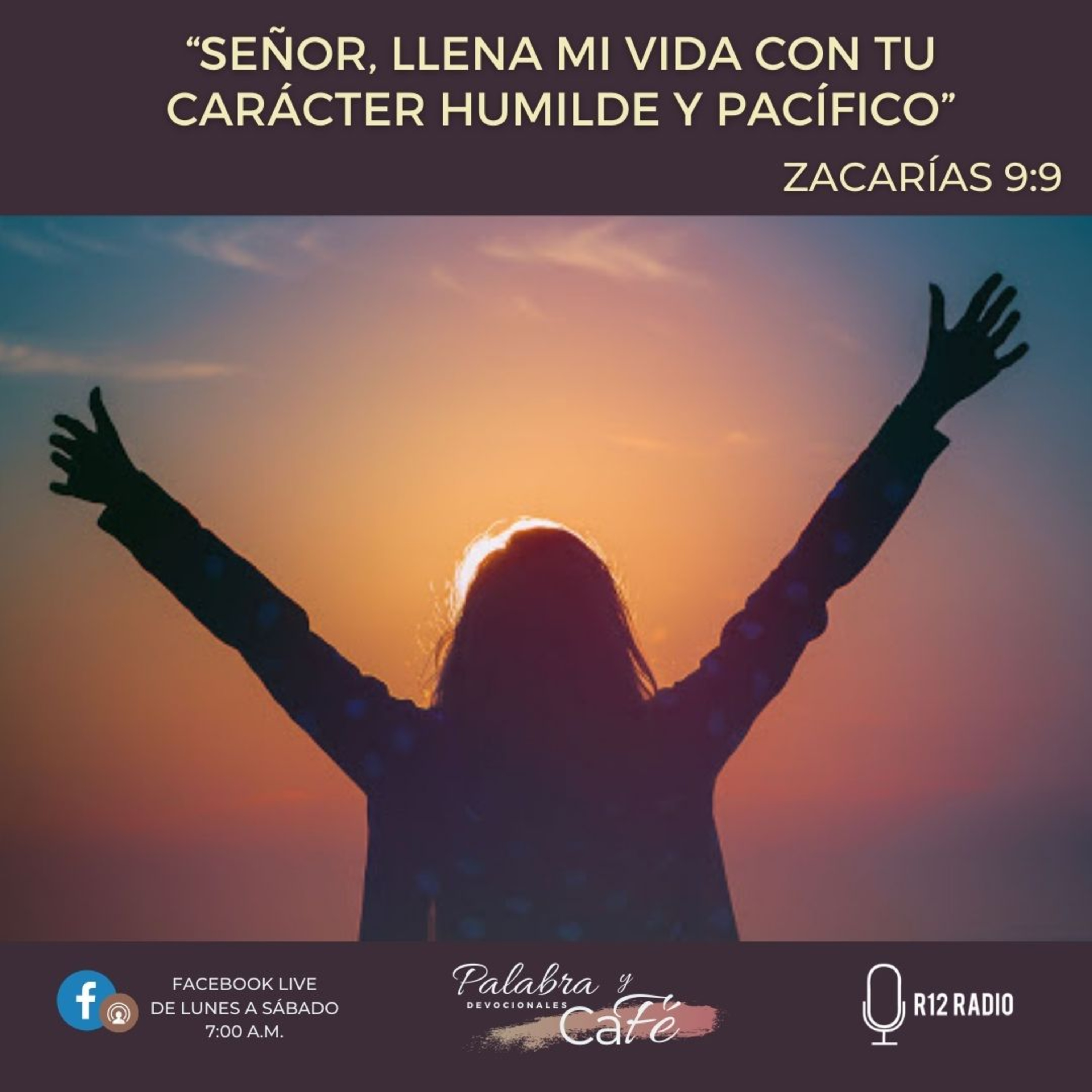 Señor, llena mi vida con tu carácter humilde y pacífico - Zacarías 9:9 episode artwork