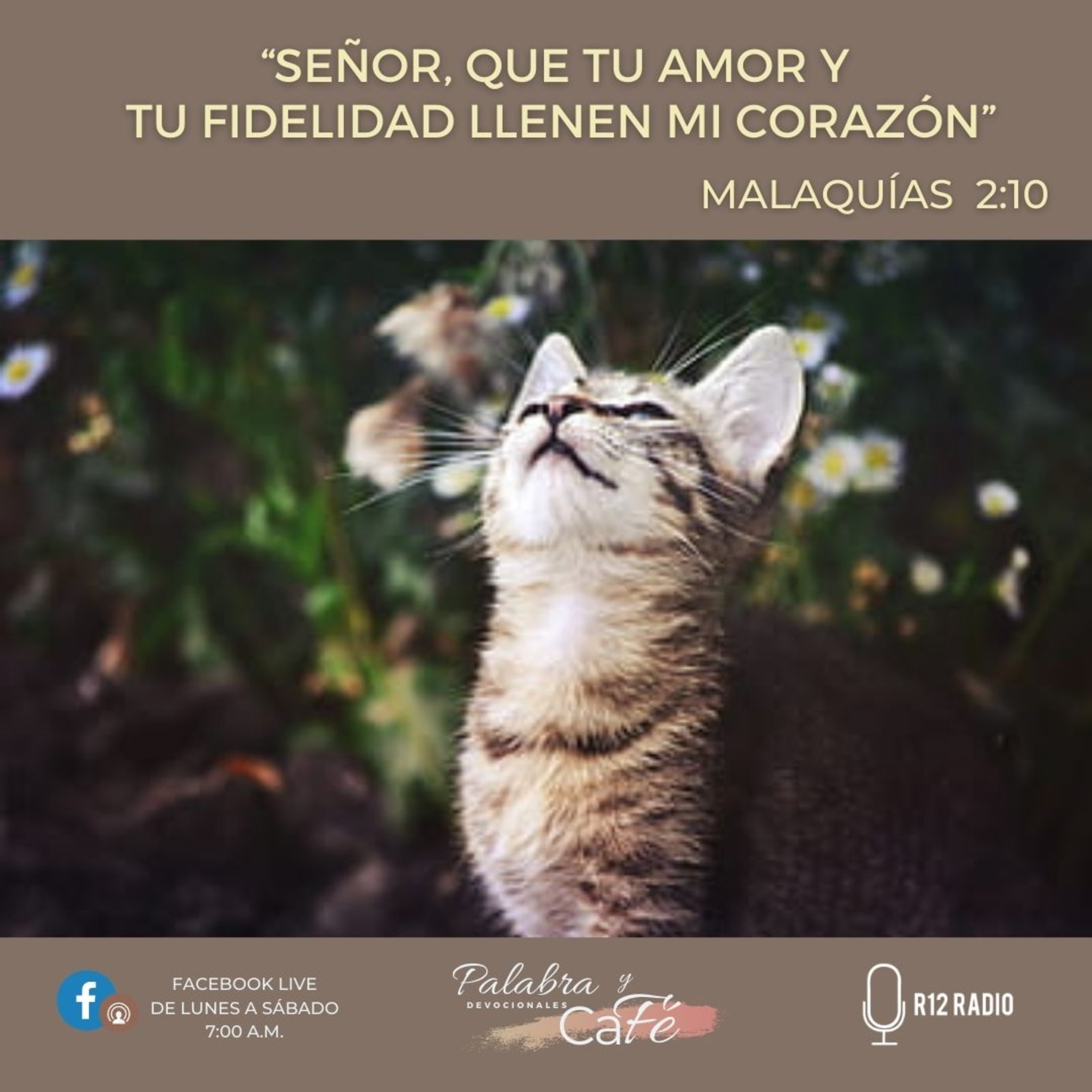 Señor, que Tu amor y Tu fidelidad llenen mi corazón - Malaquías 2:10 episode artwork