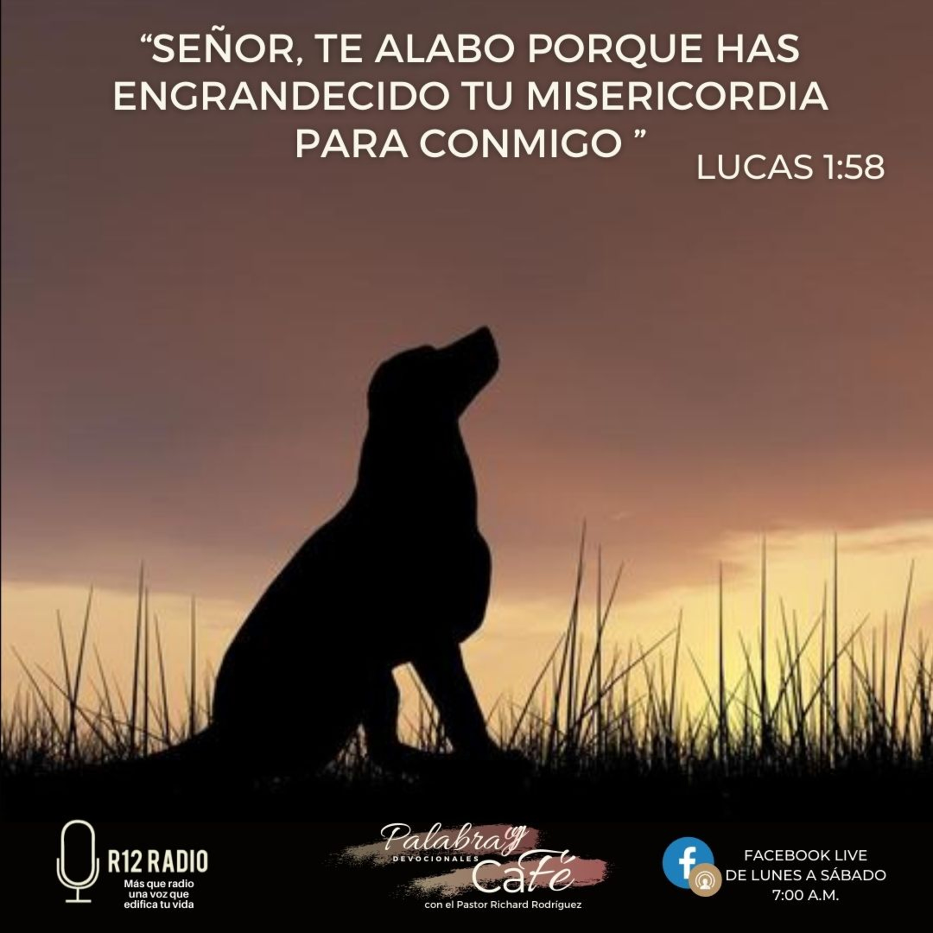 Señor, te alabo porque has engrandecido tu misericordia para conmigo episode artwork
