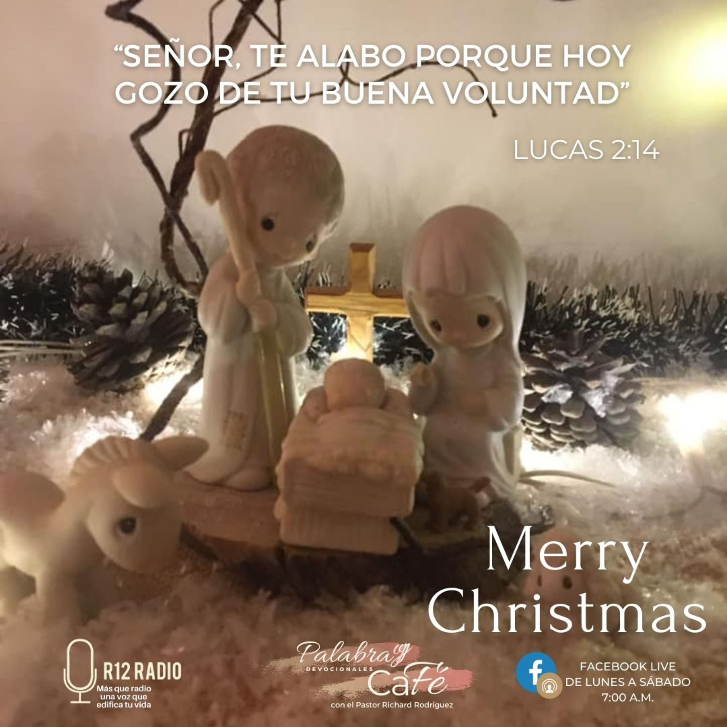 Señor, te alabo porque hoy gozo de tu buena voluntad episode artwork