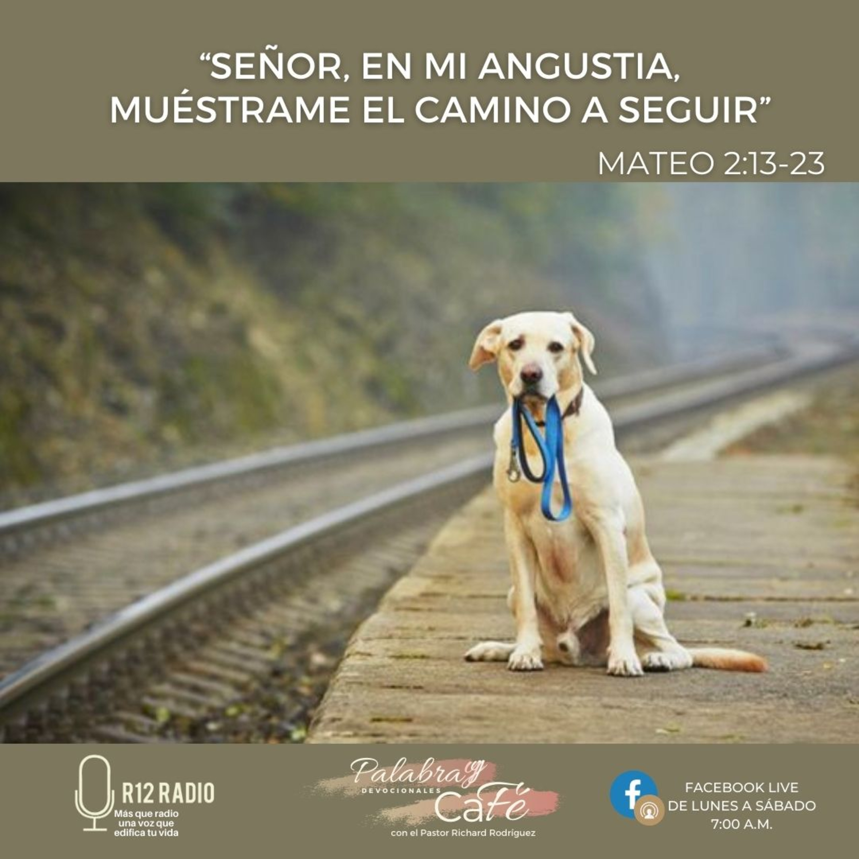 Señor, en mi angustia muéstrame el camino a seguir. episode artwork