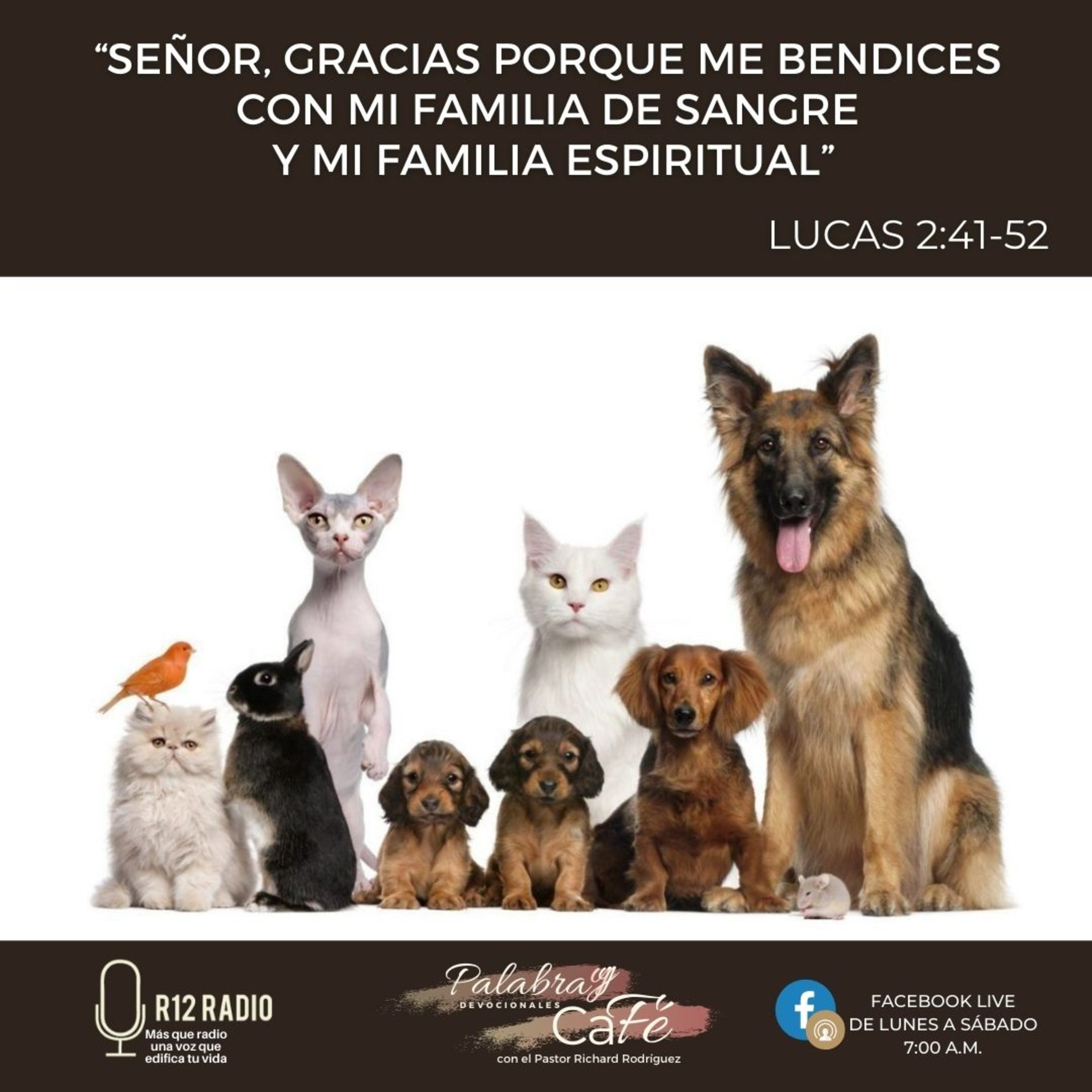 Señor, gracias porque me bendices con mi familia de sangre y mi familia espiritual. episode artwork