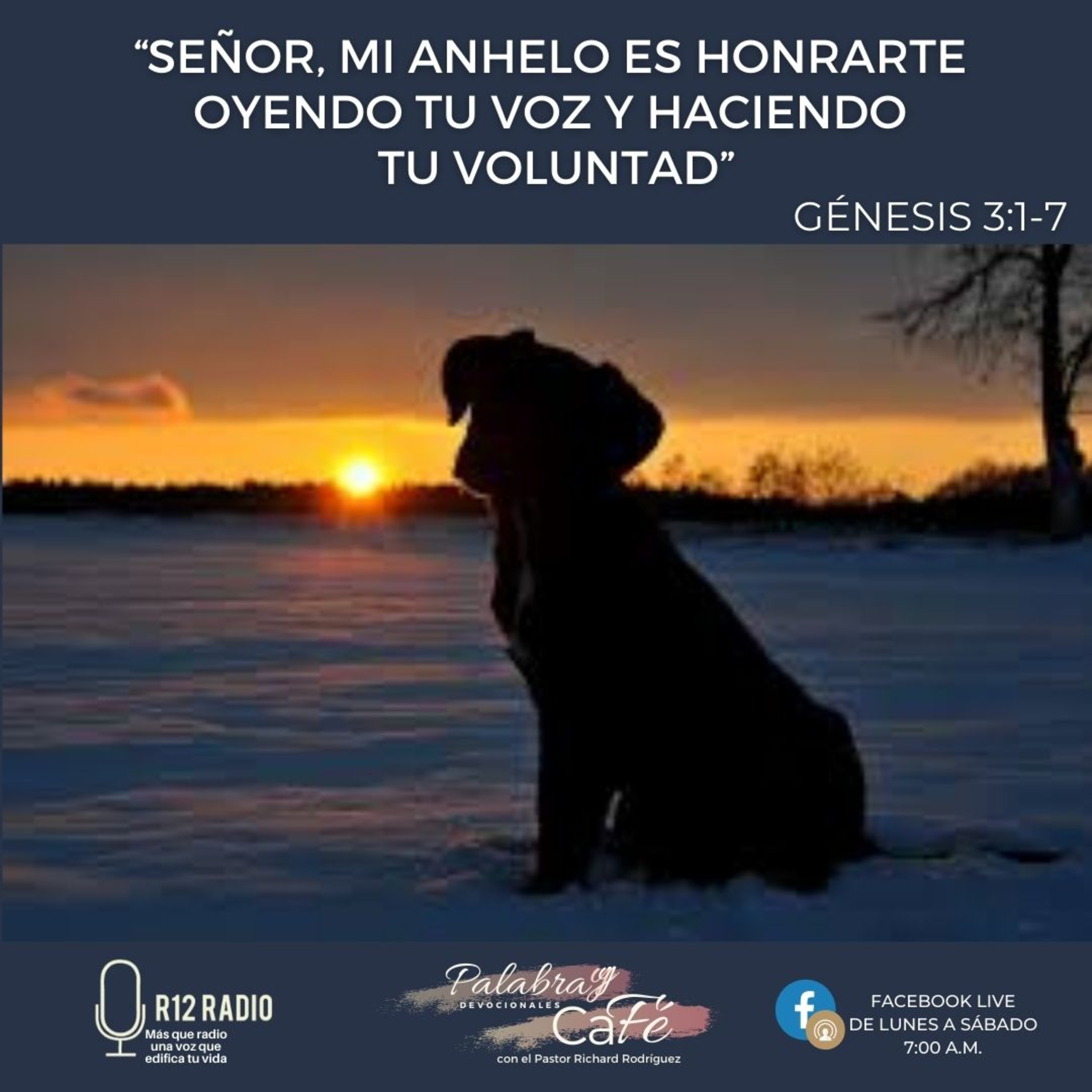 Señor, mi anhelo es honrarte oyendo tu voz y haciendo Tu voluntad. episode artwork