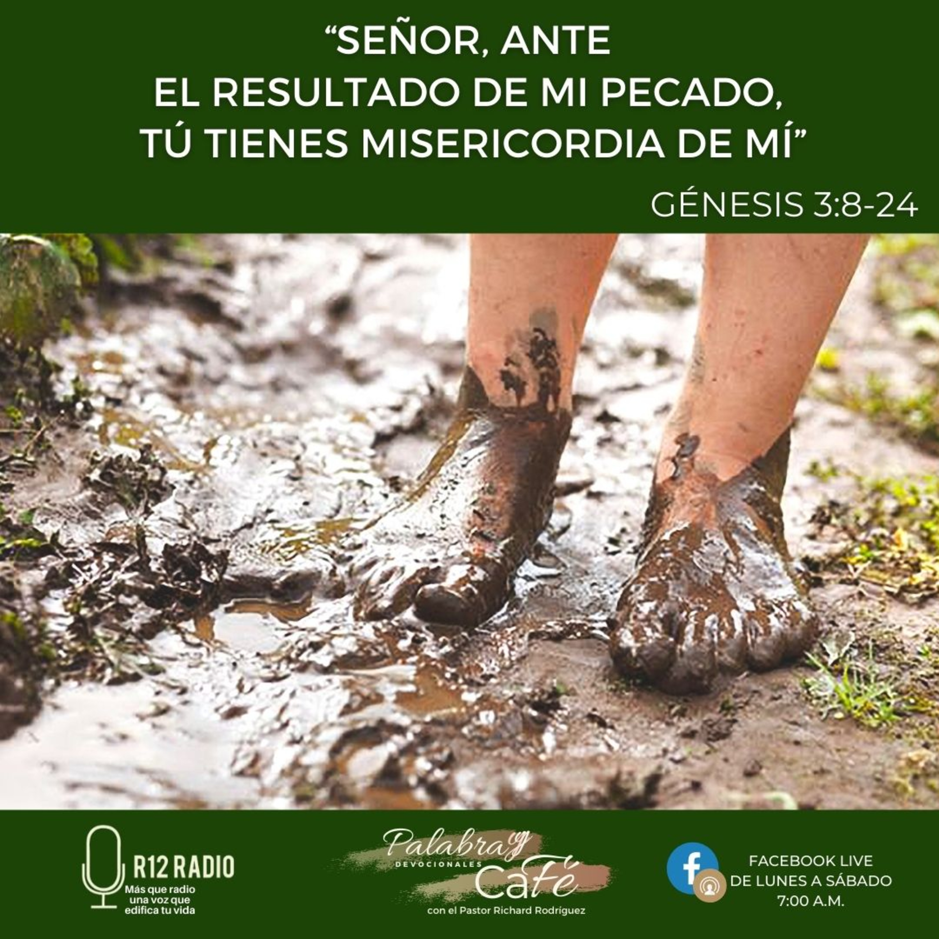 Señor, ante el resultado de mi pecado, Tú tienes misericordia de mí. episode artwork