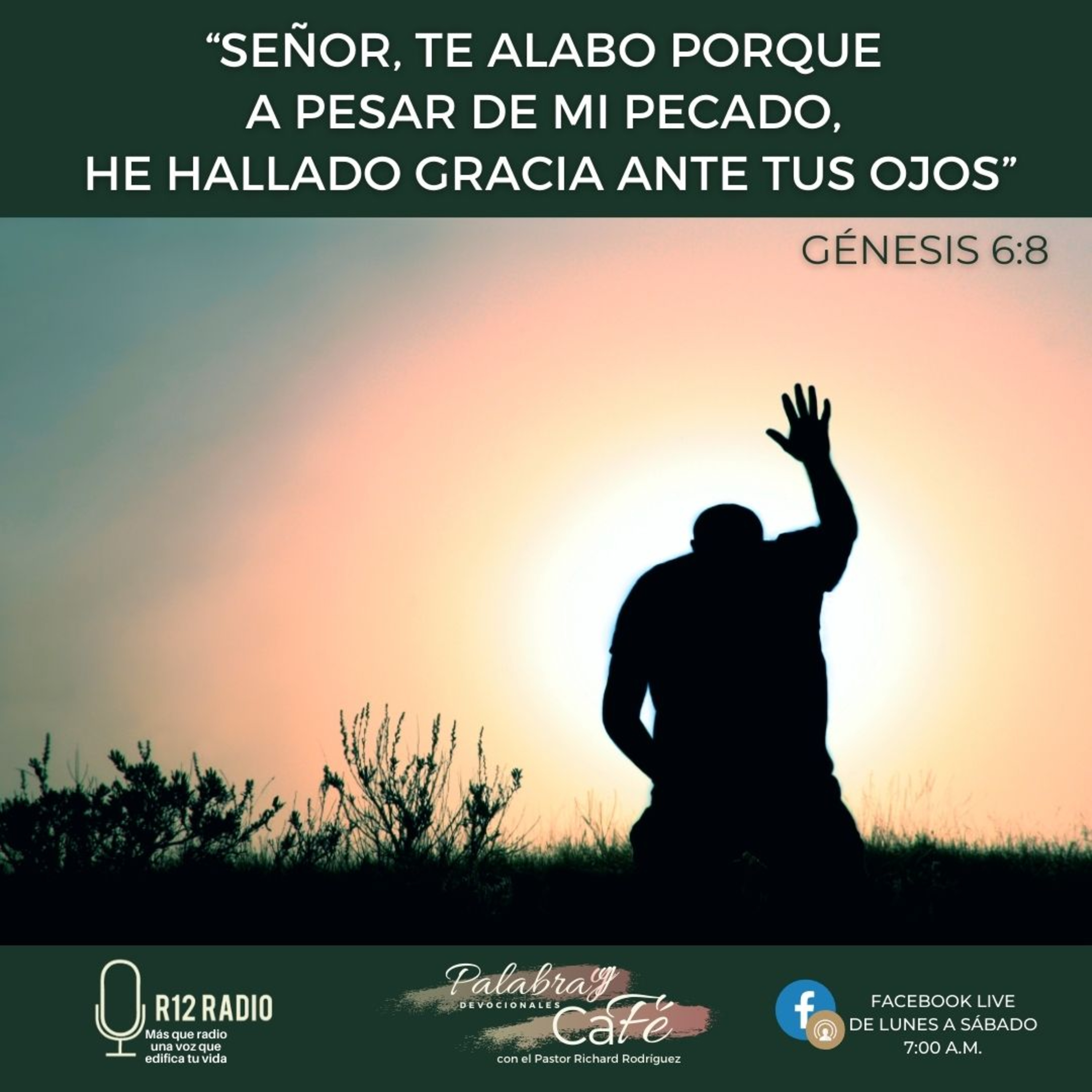 Señor, te alabo porque a pesar de mi pecado, he hallado gracia ante Tus ojos. episode artwork