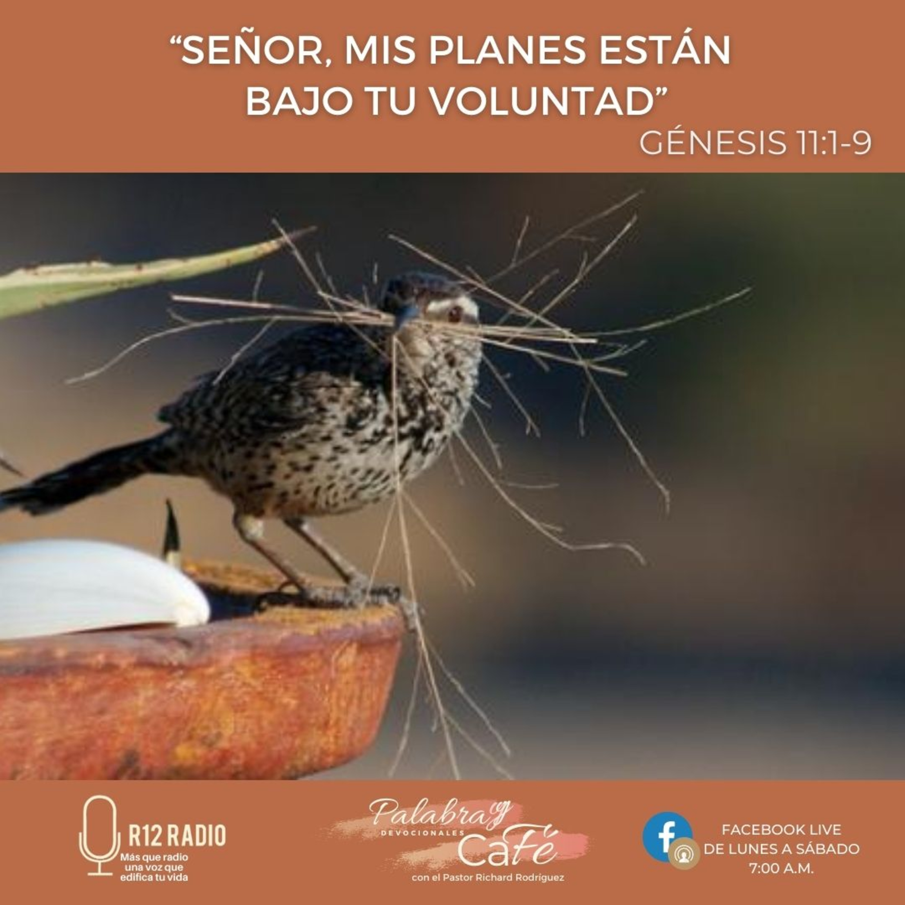 Señor, mis planes están bajo Tu voluntad. episode artwork