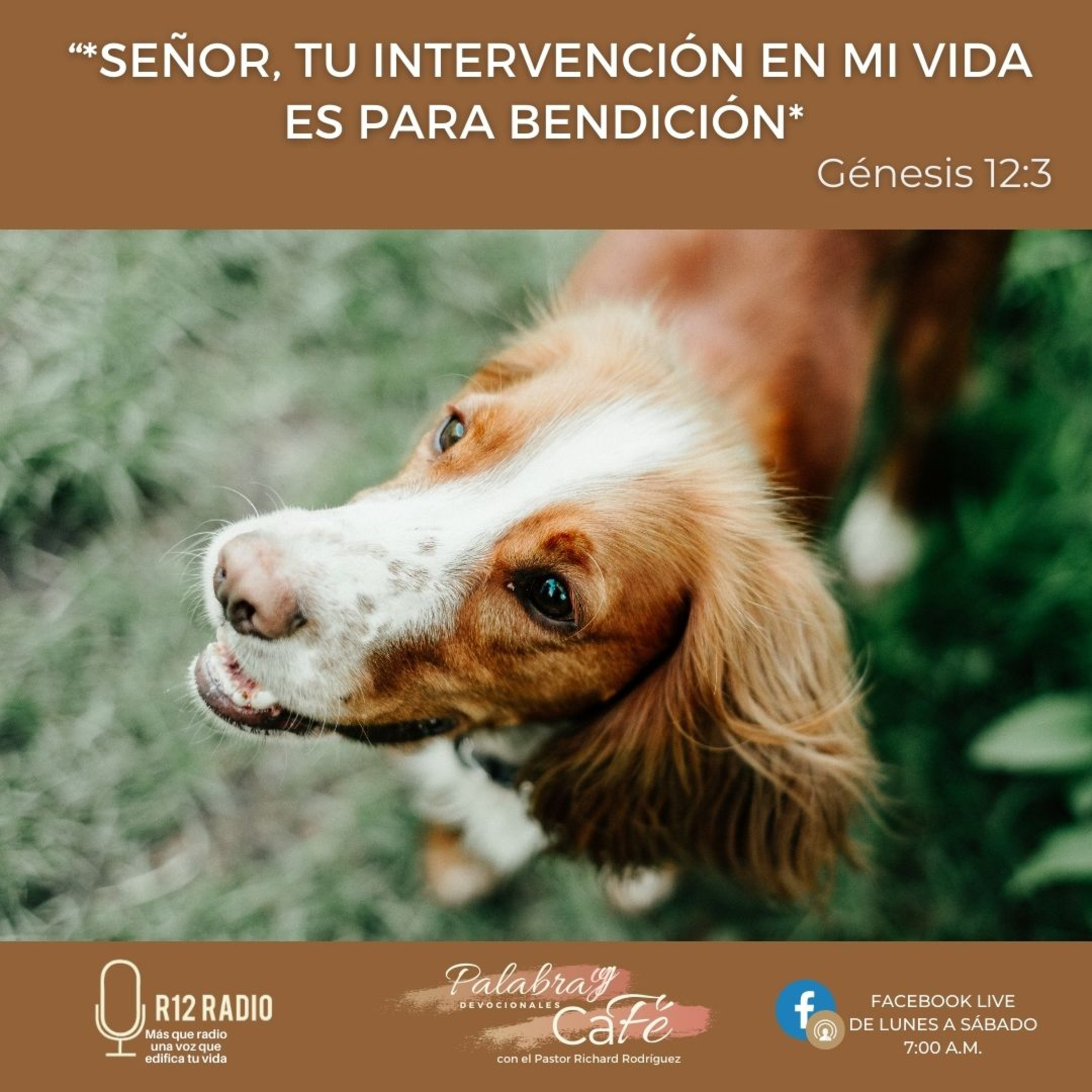 Señor, Tu intervención en mi vida es para bendición episode artwork