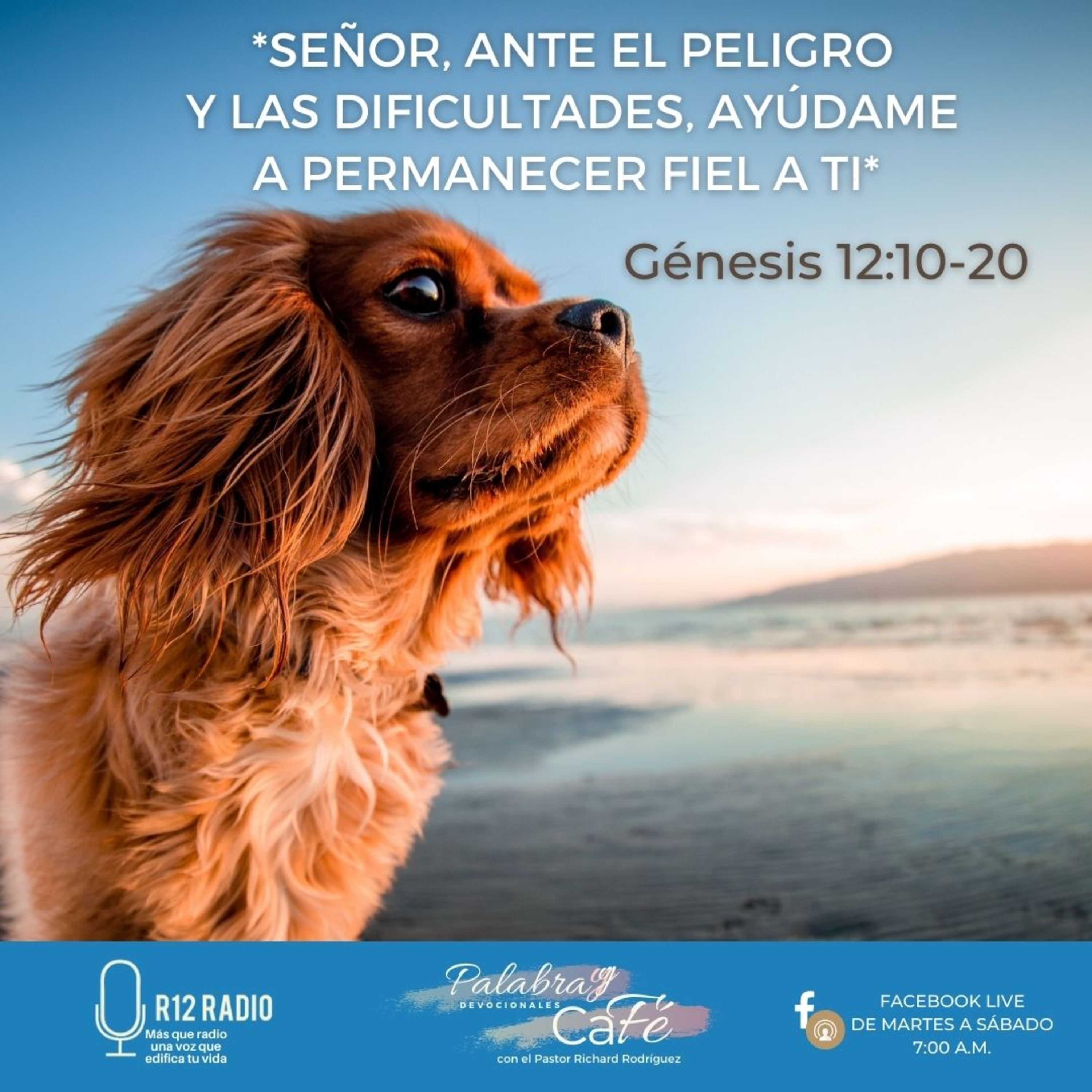Señor, ante el peligro y las dificultades, ayúdame a permanecer fiel a Ti episode artwork
