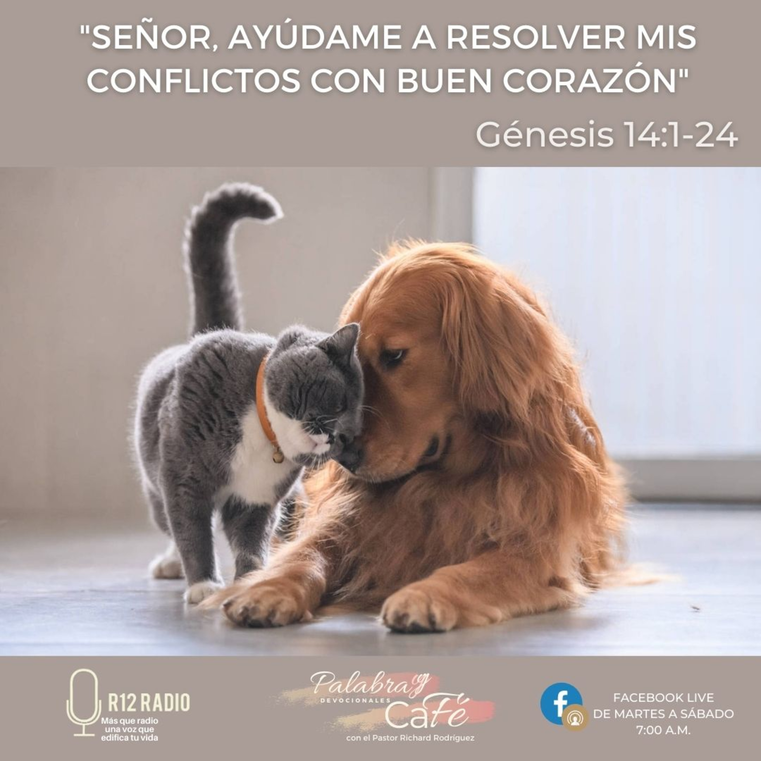 Señor, ayúdame a resolver mis conflictos con buen corazón. episode artwork