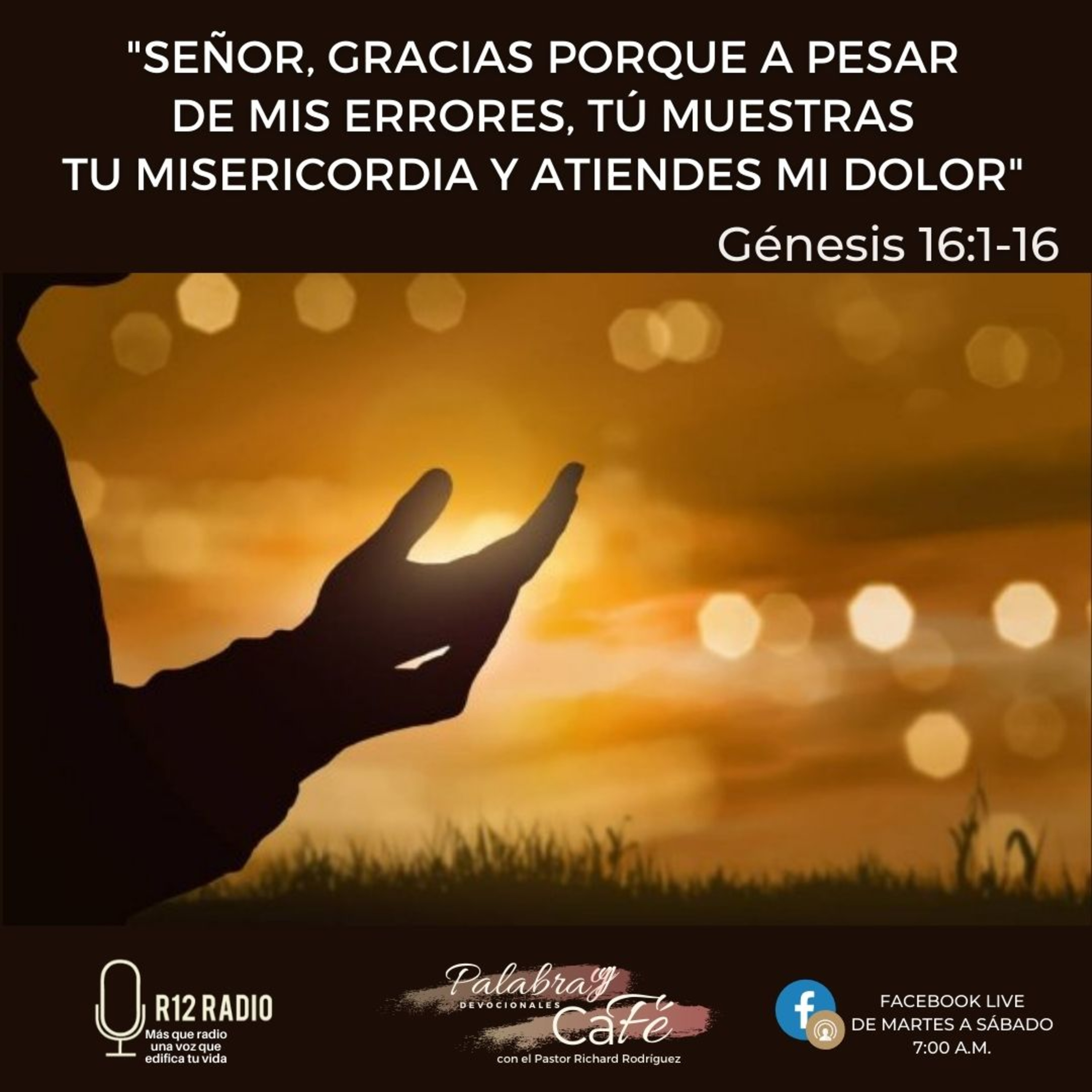 Señor, gracias porque a pesar de mis errores, Tú muestras Tu misericordia y atiendes mi dolor. episode artwork