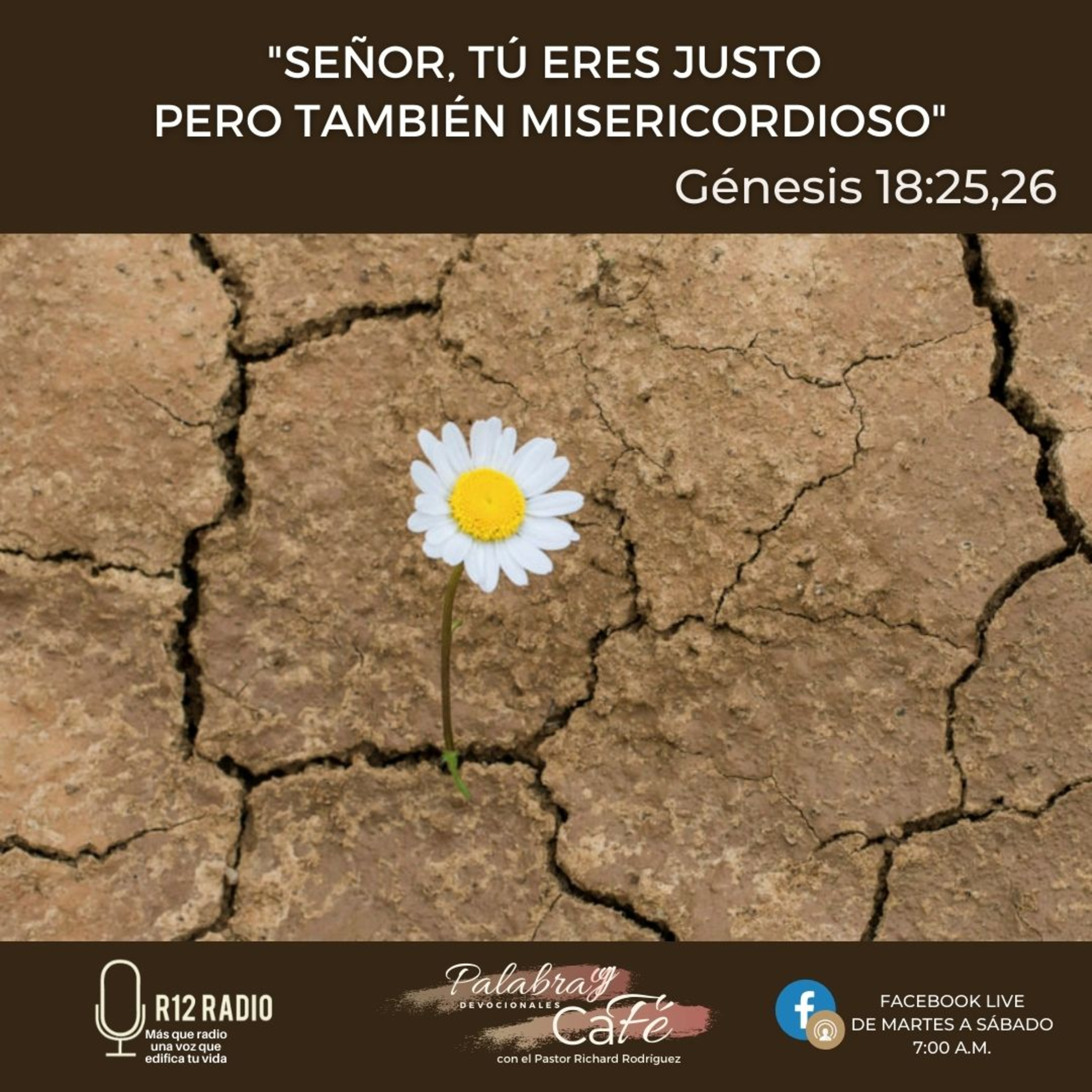 Señor, Tú eres justo pero también misericordioso. episode artwork