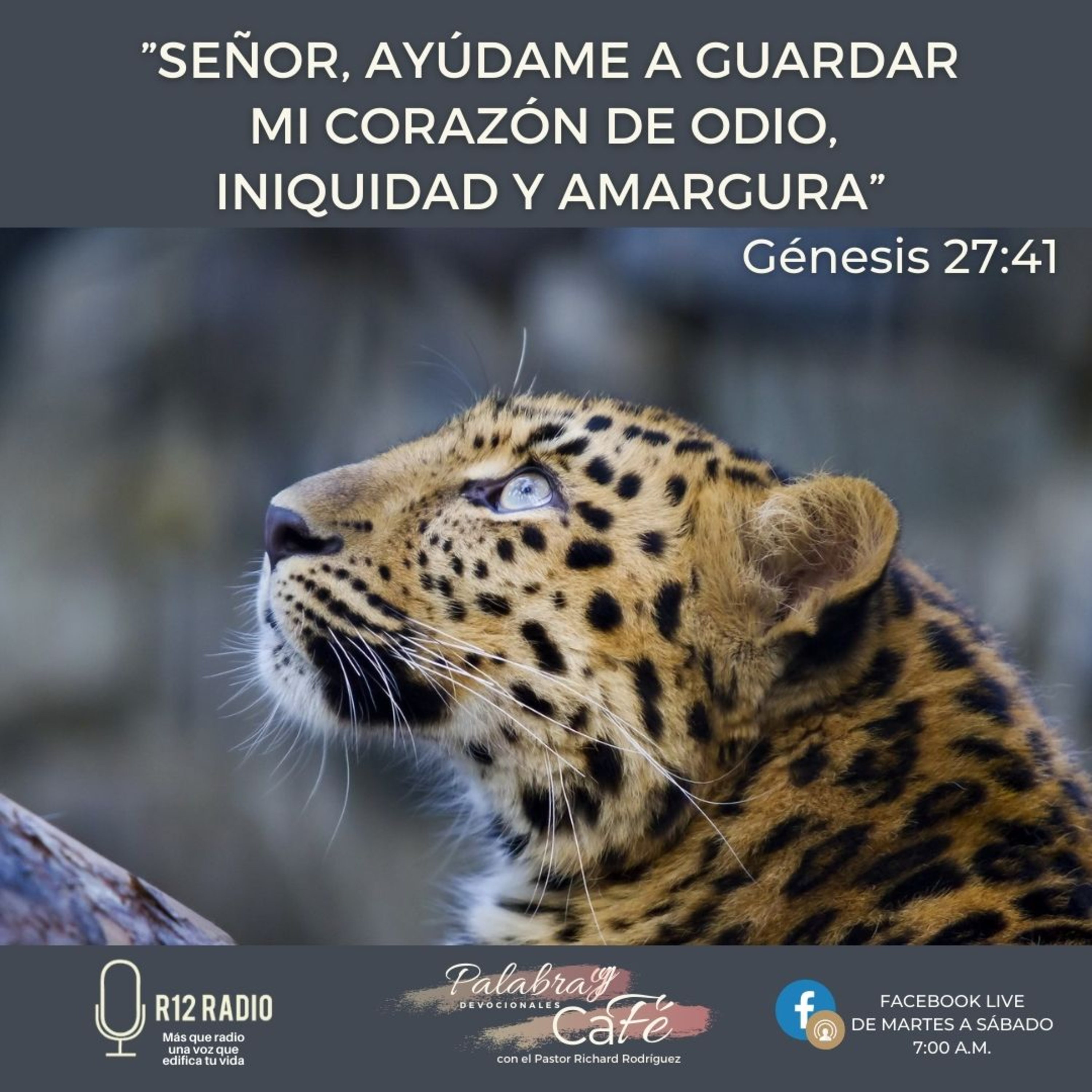 Señor, ayúdame a guardar mi corazón de odio, iniquidad y amargura. episode artwork